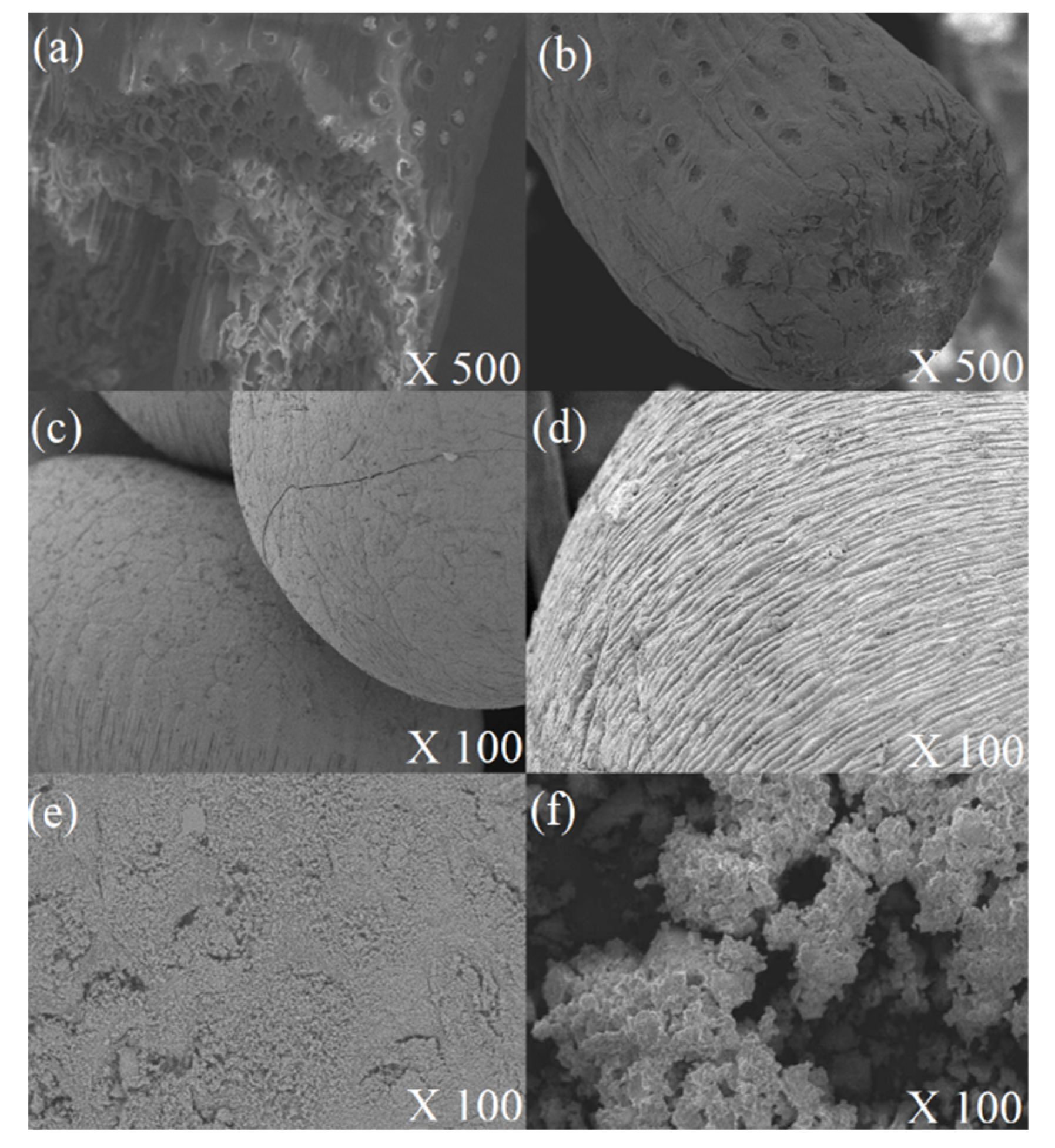 Molecules 25 03668 g006