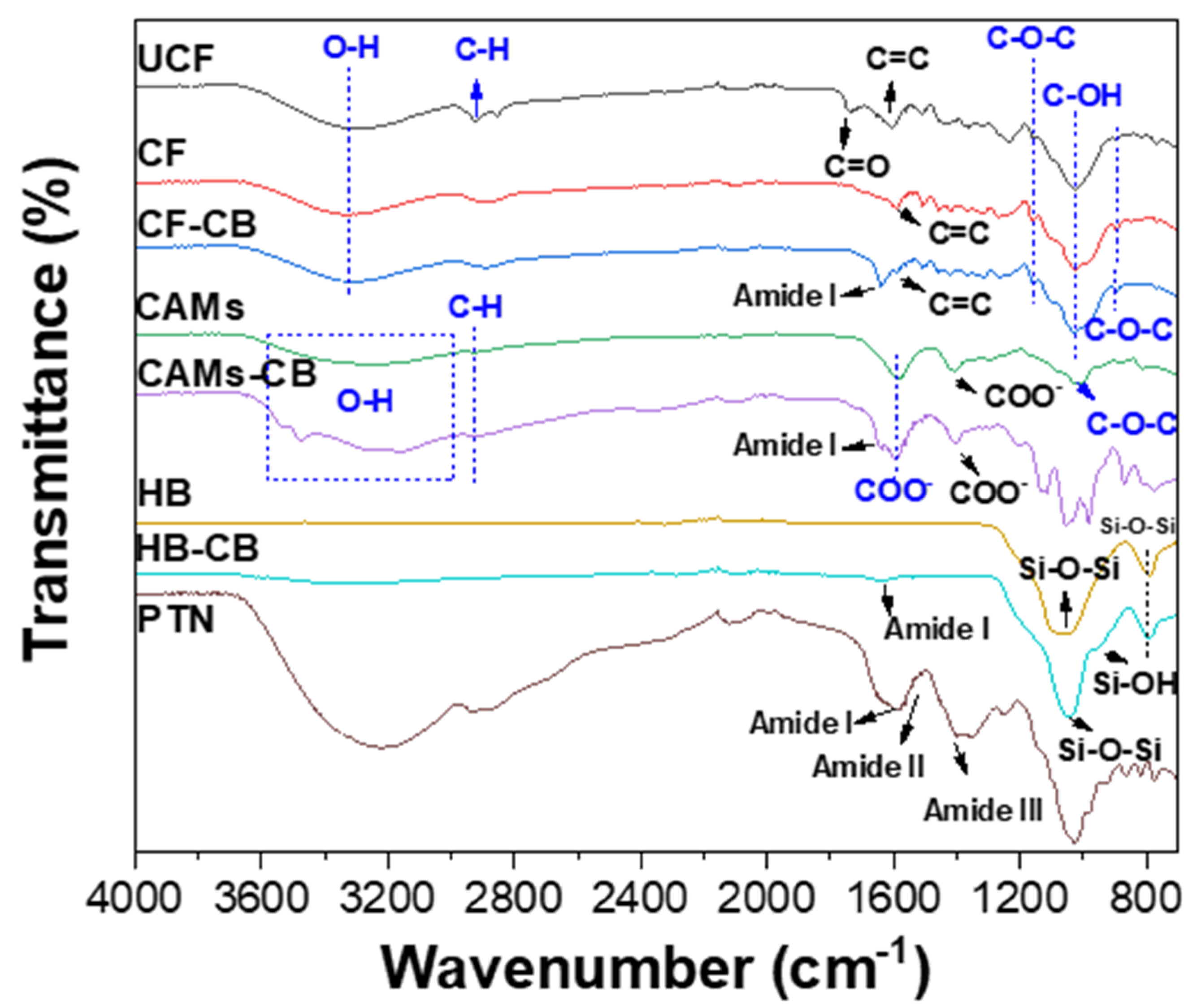Molecules 25 03668 g007