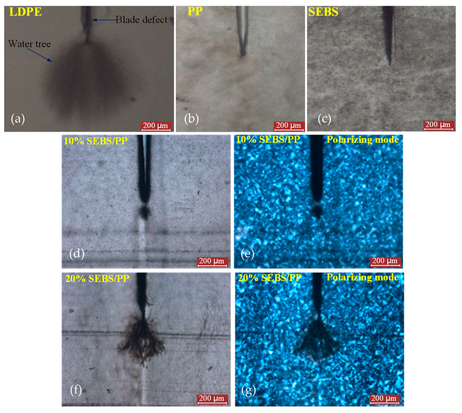 Molecules 25 03669 g001 Molecules 25 03669 g001