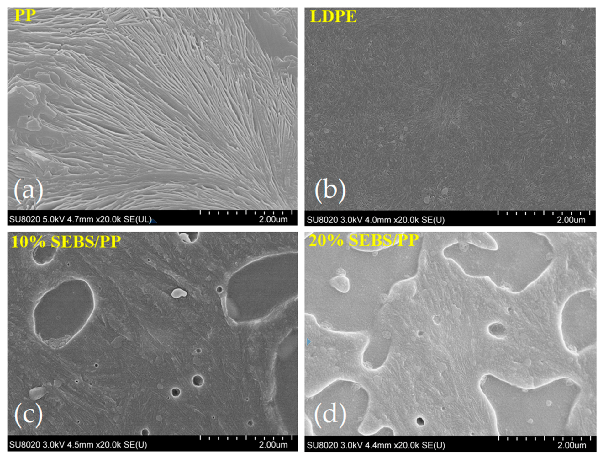 Molecules 25 03669 g003 Molecules 25 03669 g003