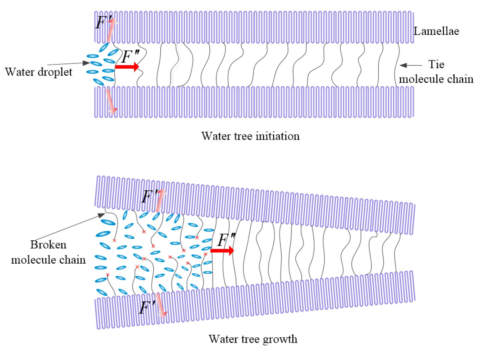 Molecules 25 03669 g008 Molecules 25 03669 g008