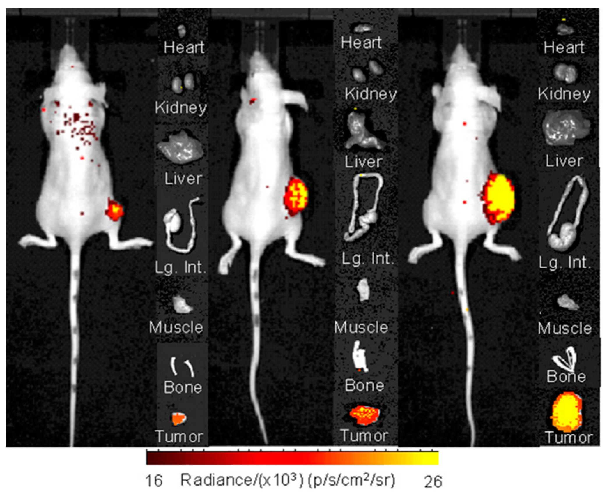 Molecules 25 03672 g003 Molecules 25 03672 g003