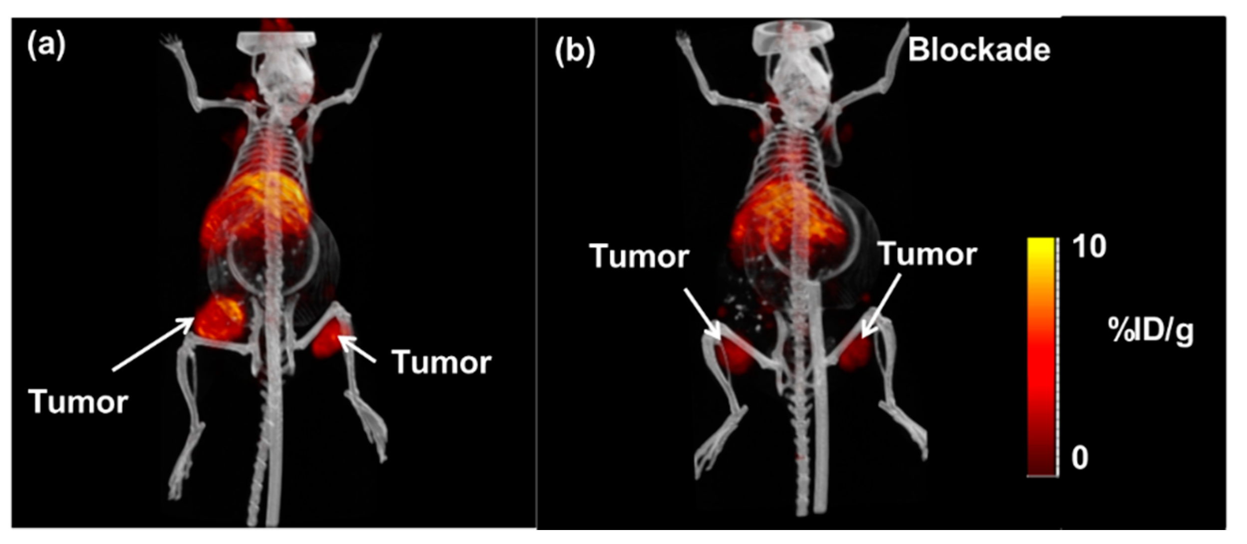Molecules 25 03672 g004 Molecules 25 03672 g004