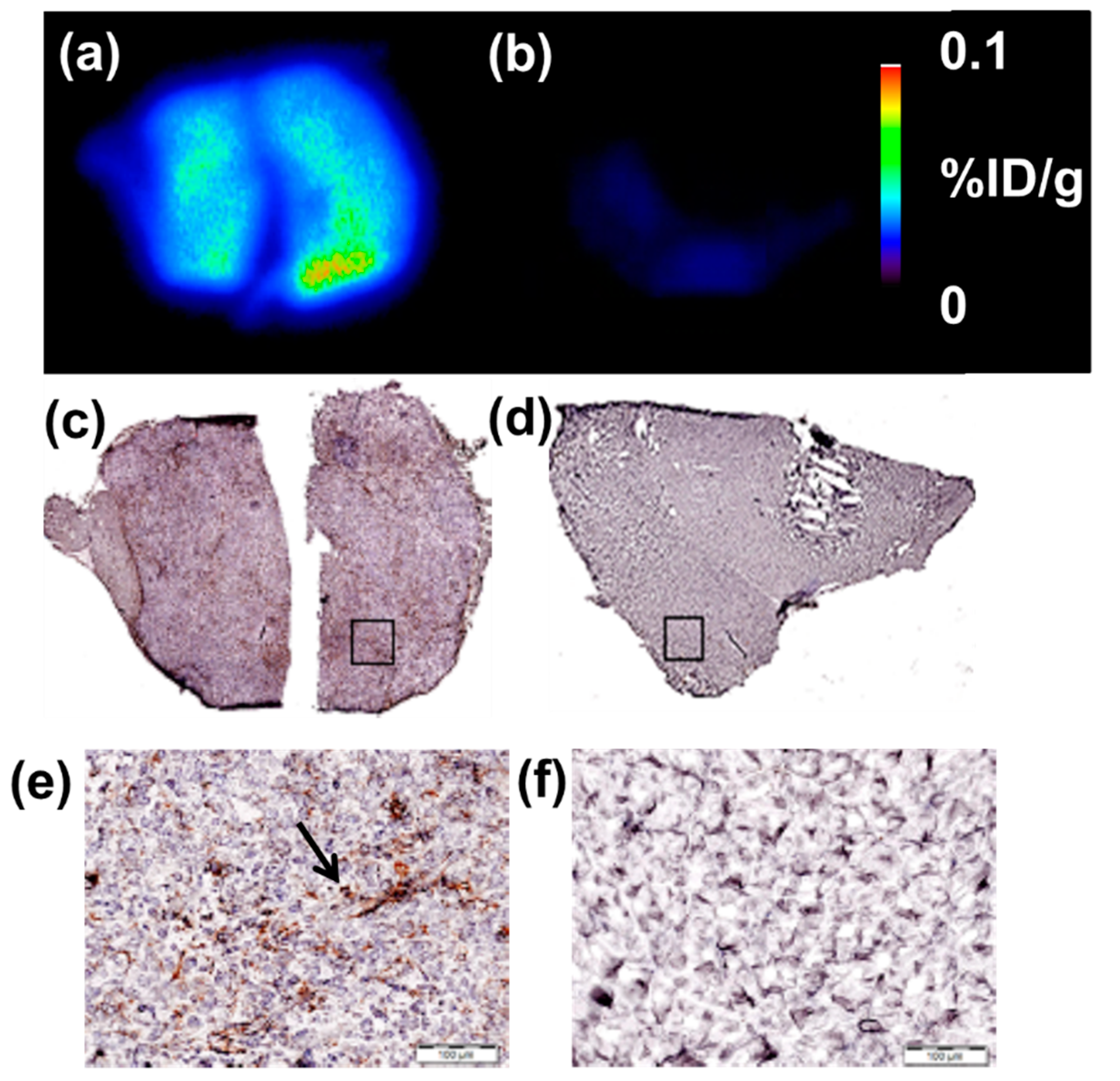 Molecules 25 03672 g005 Molecules 25 03672 g005