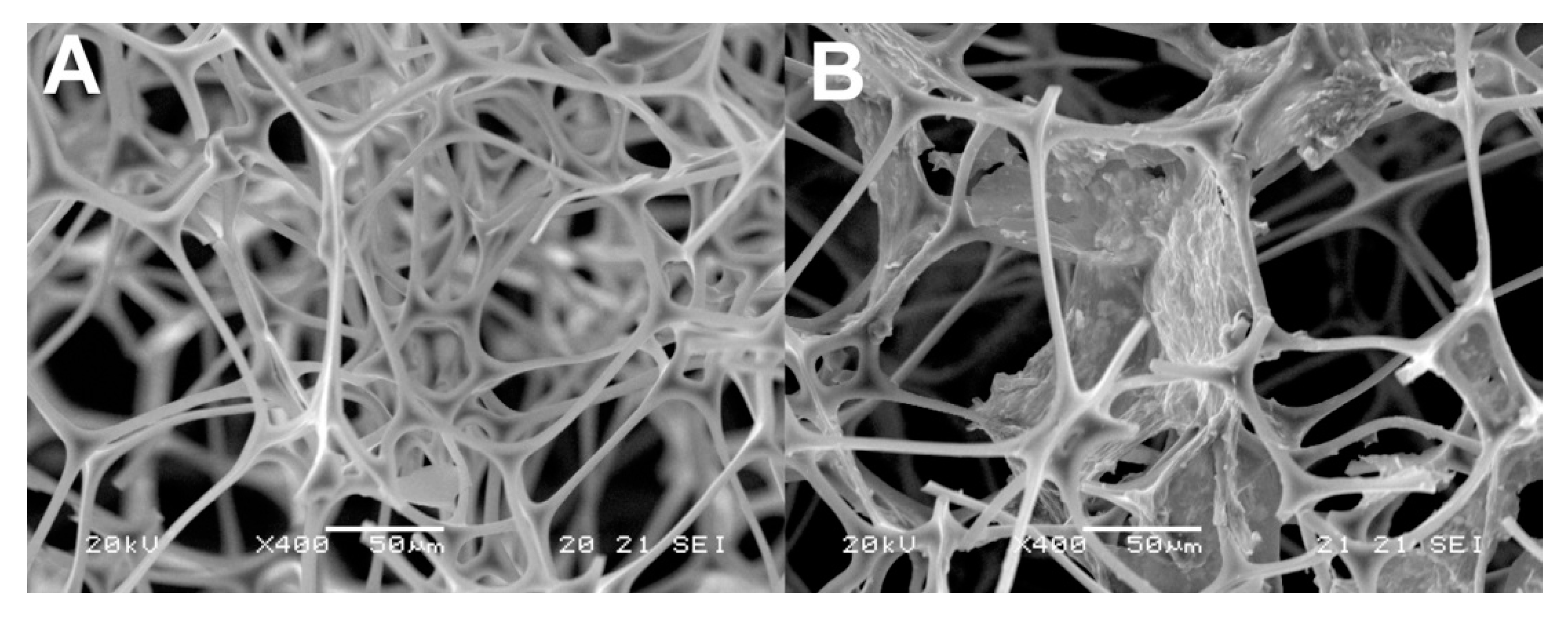 Molecules 25 03673 g004 Molecules 25 03673 g004