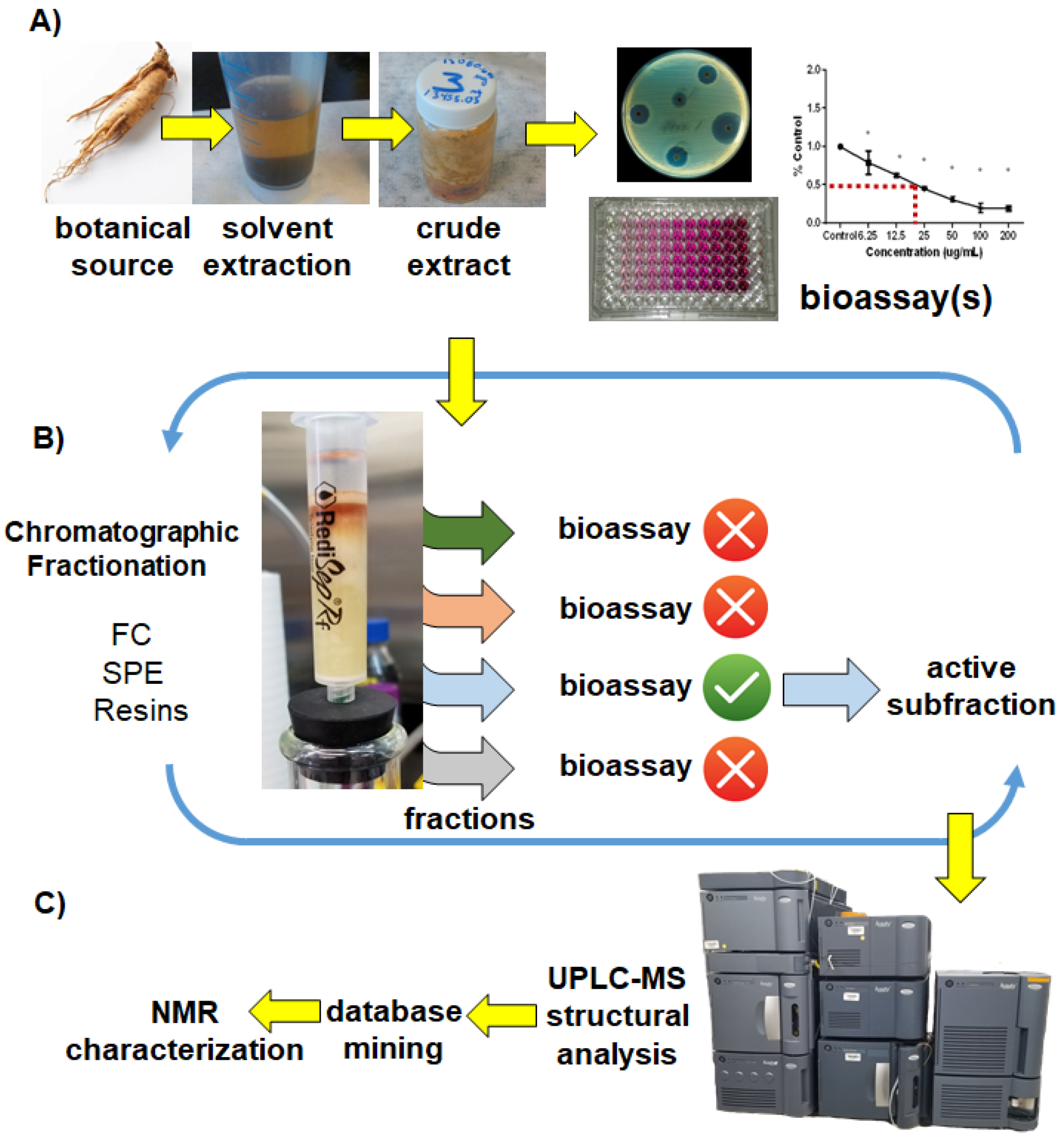 Molecules 25 03677 g001 Molecules 25 03677 g001