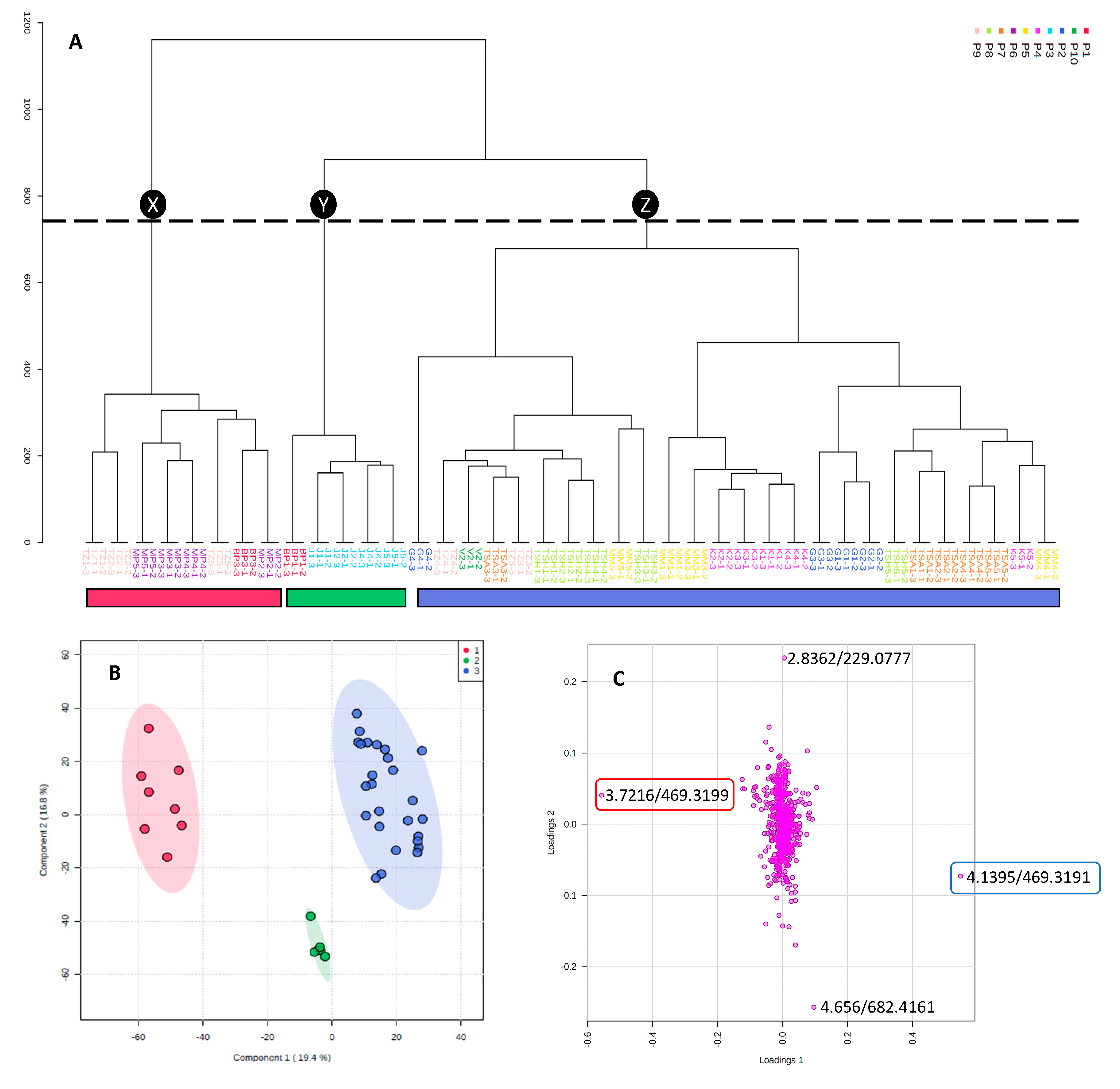 Molecules 25 03683 g001