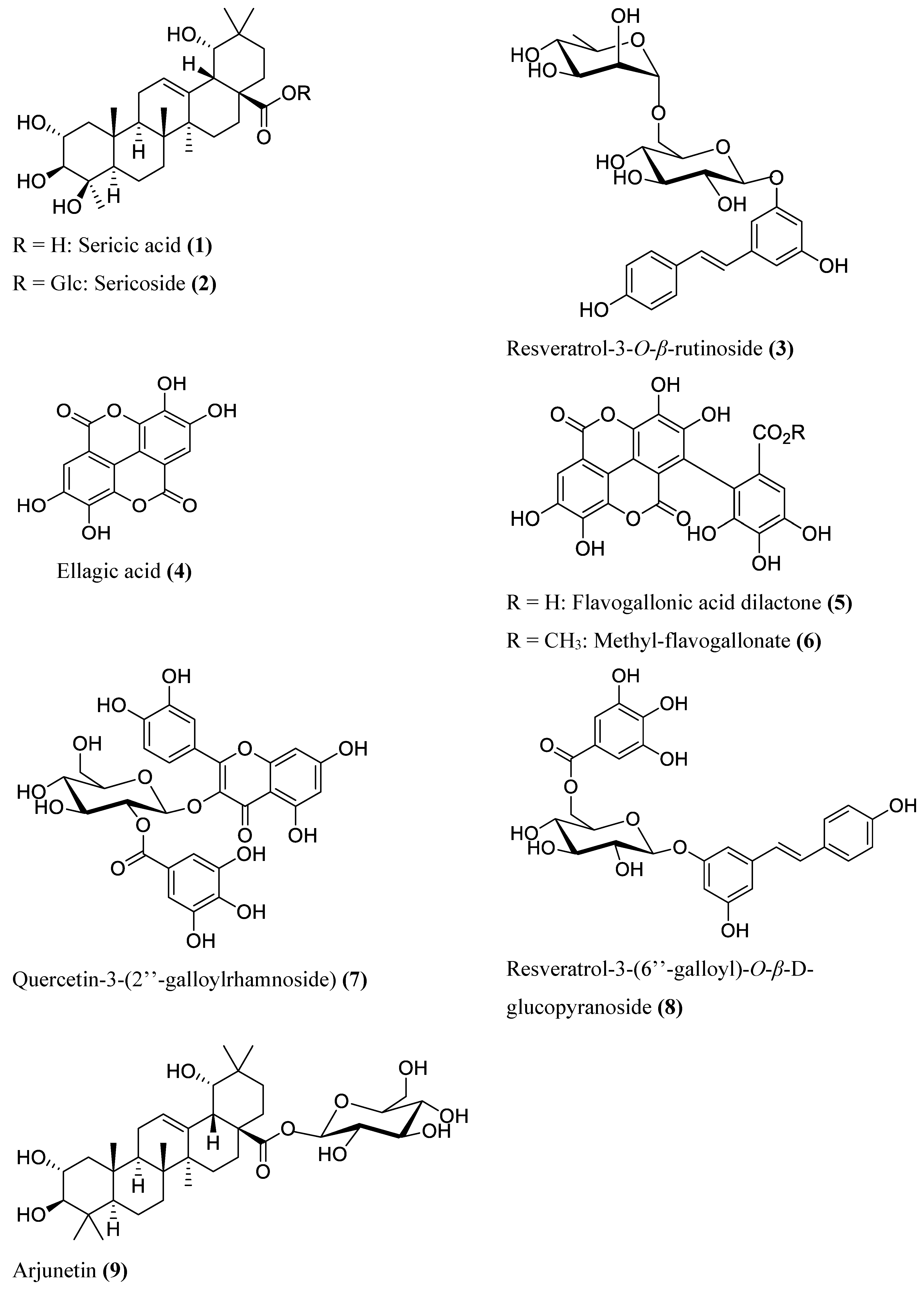 Molecules 25 03683 g002