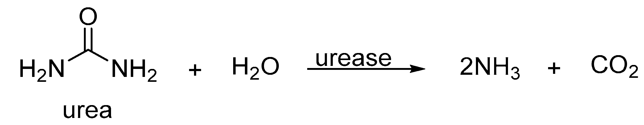 Molecules 25 03684 sch001 Molecules 25 03684 sch001
