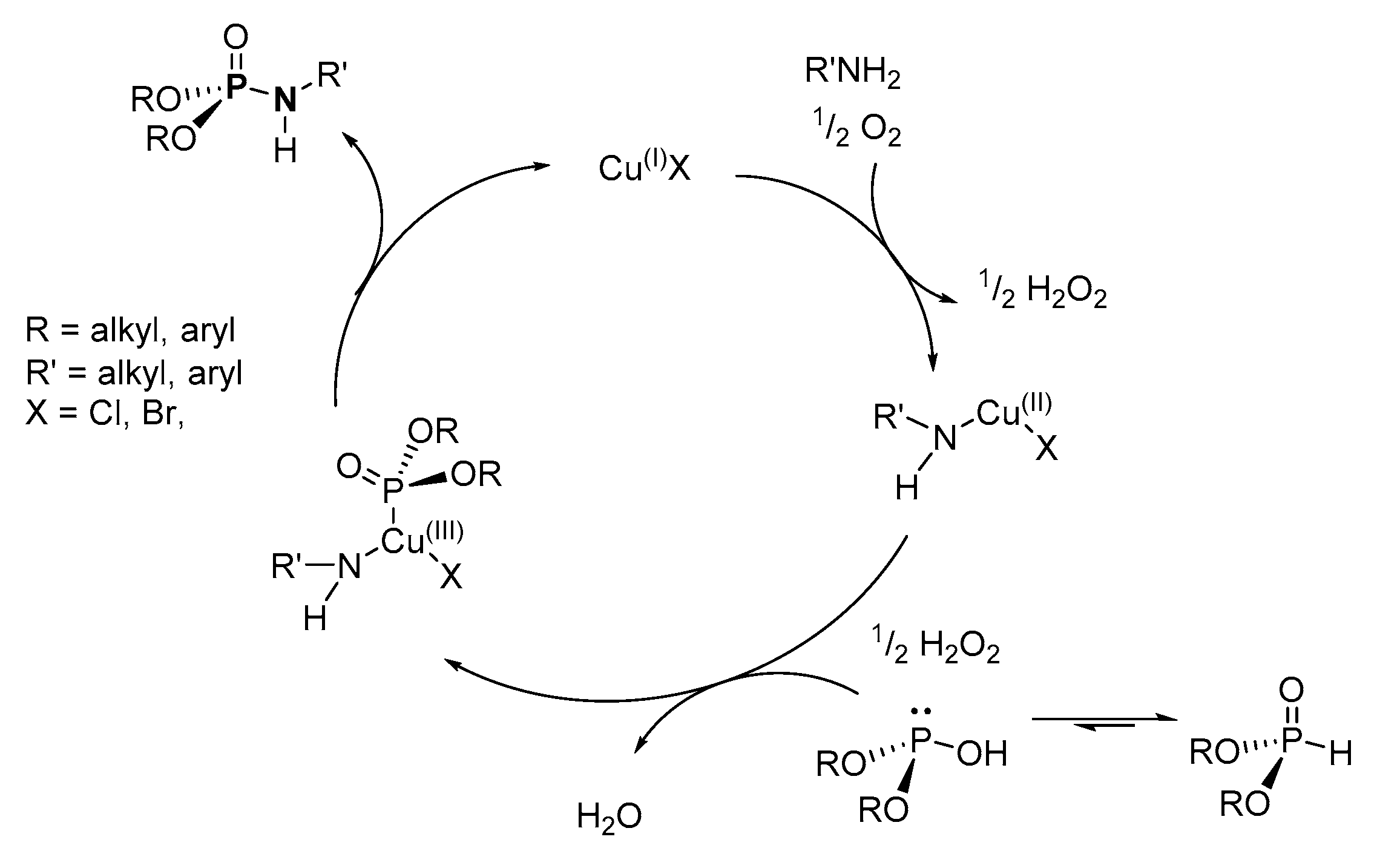 Molecules 25 03684 sch027 Molecules 25 03684 sch027