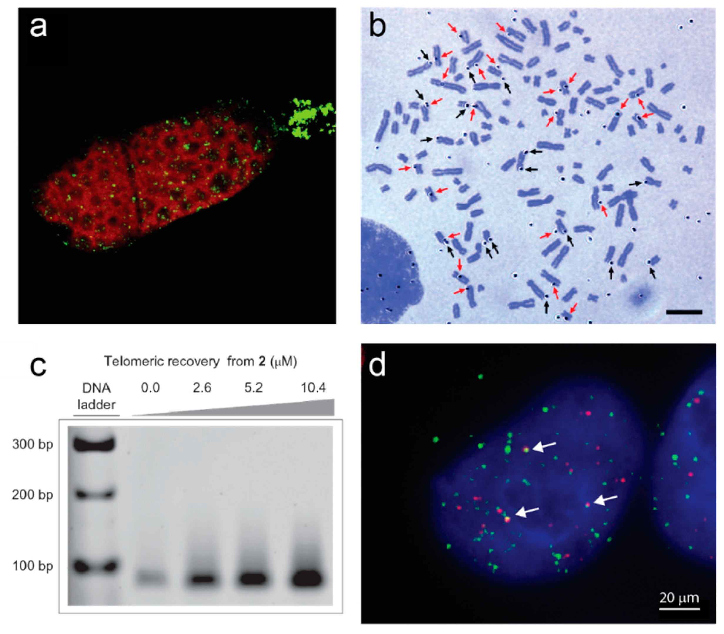 Molecules 25 03686 g001
