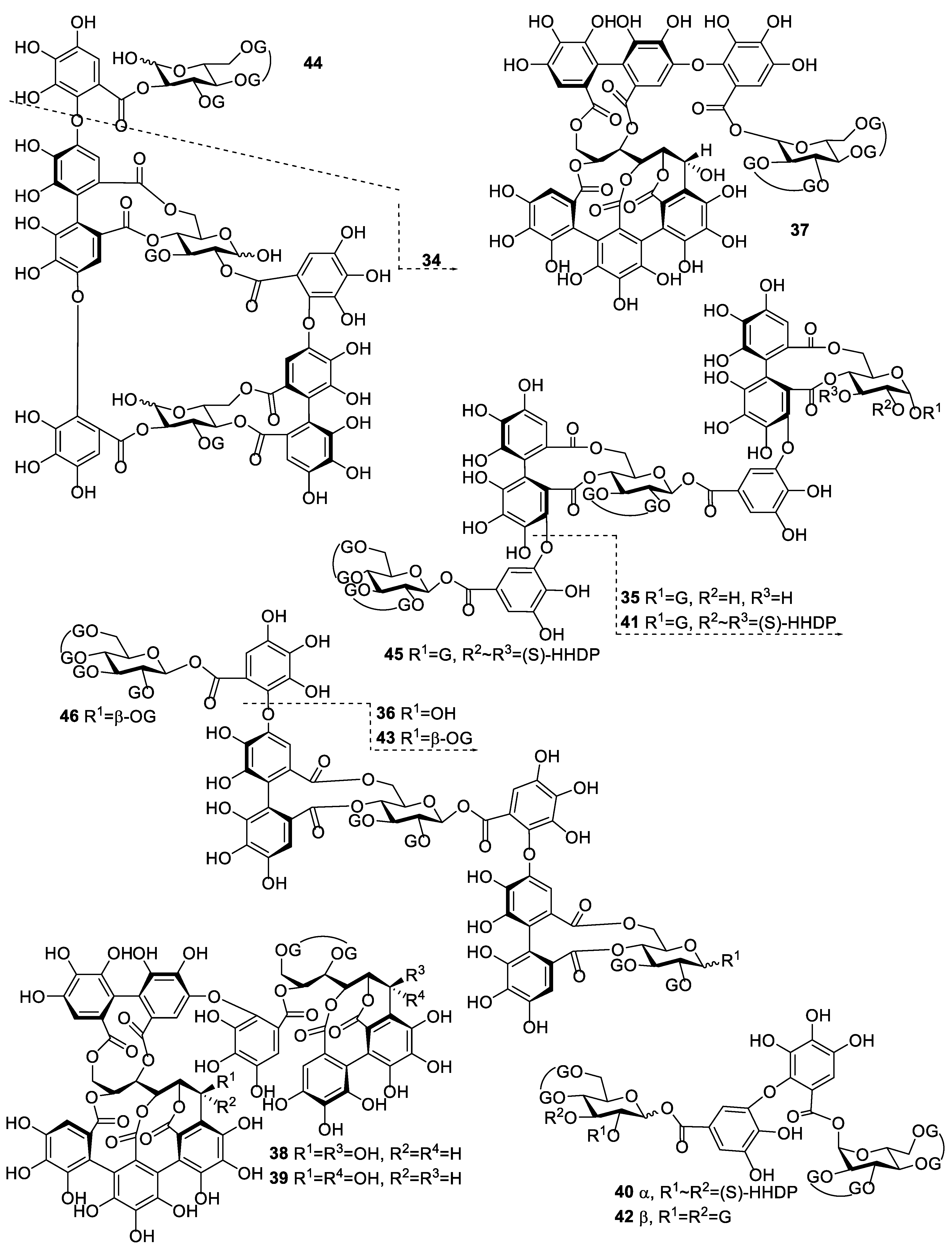 Molecules 25 03691 g002