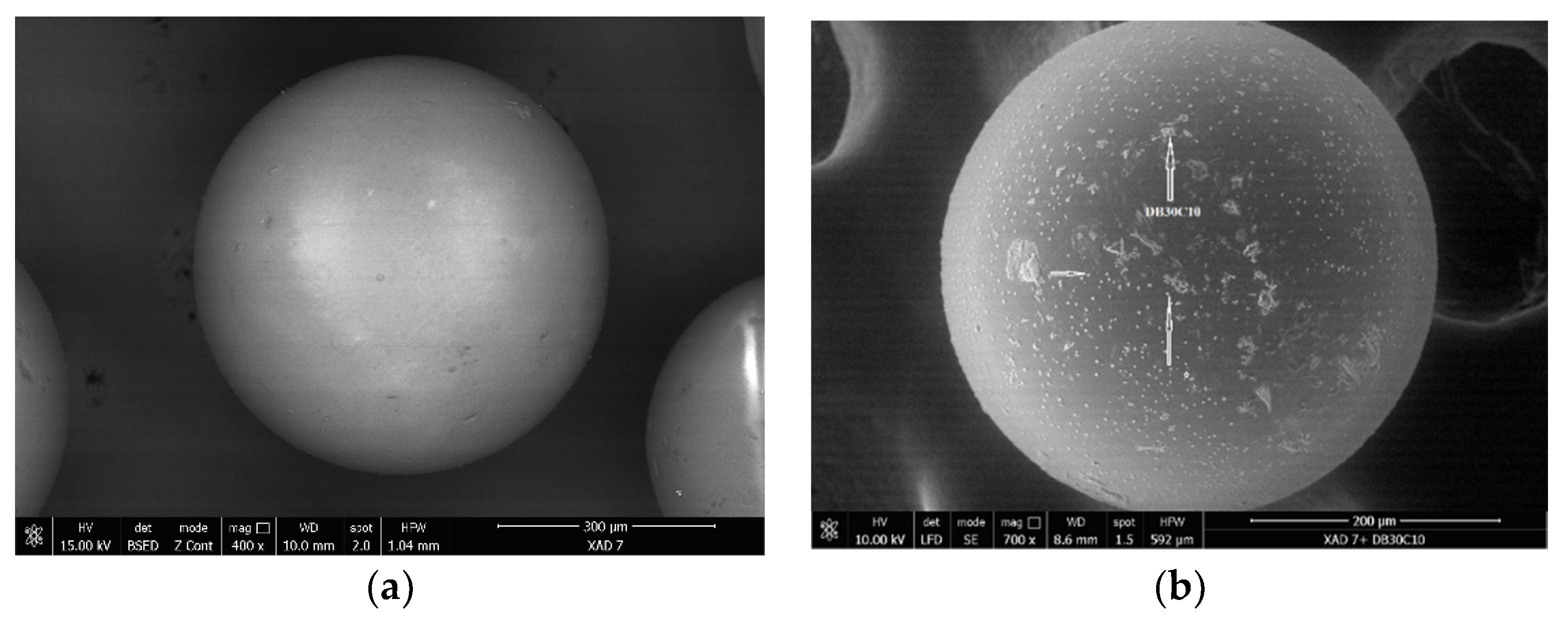 Molecules 25 03692 g003 Molecules 25 03692 g003