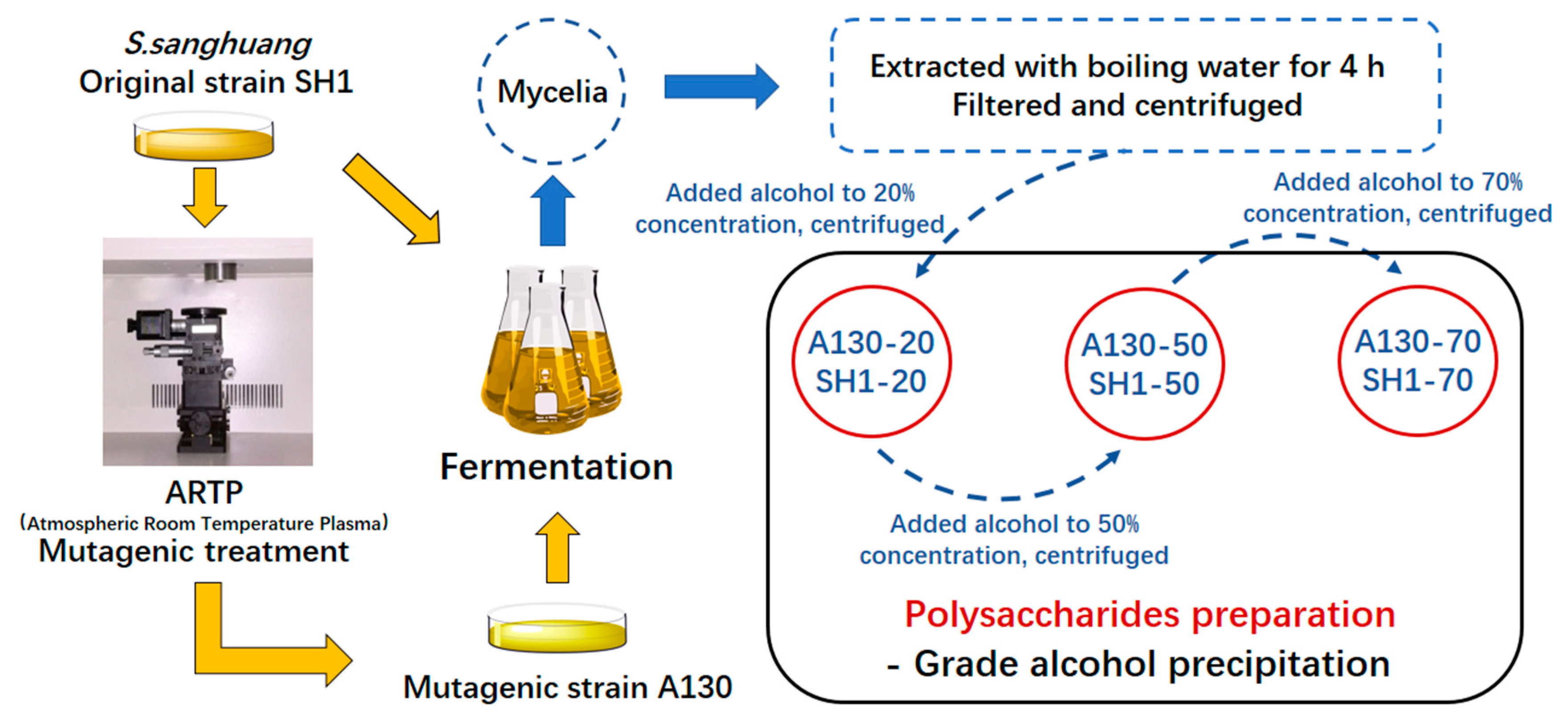 Molecules 25 03693 g006 Molecules 25 03693 g006