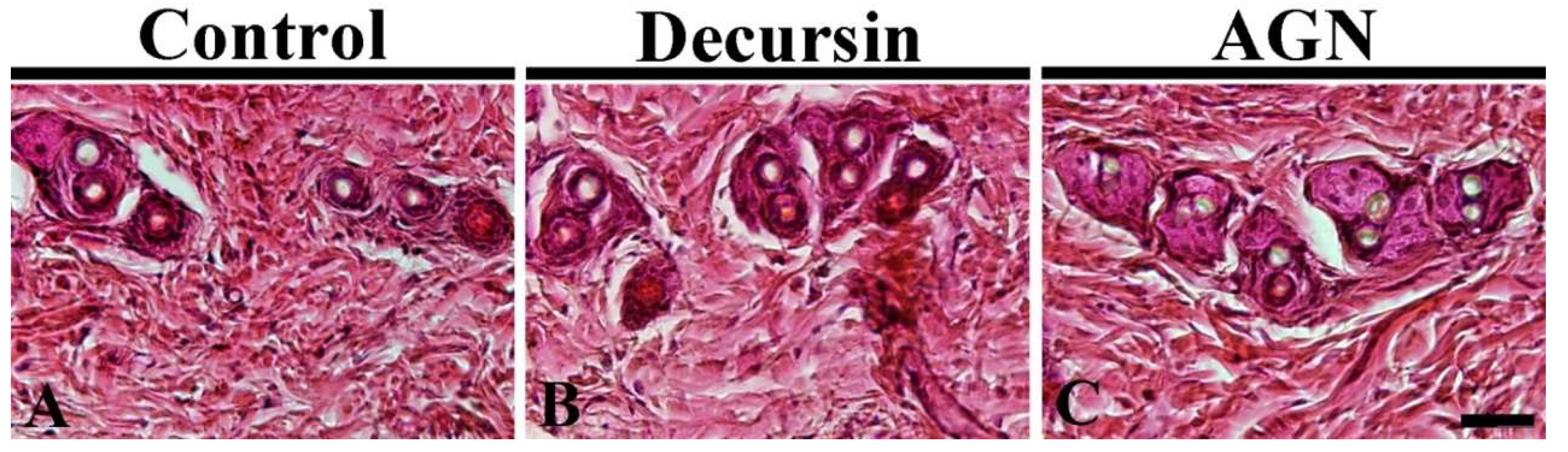 Molecules 25 03697 g003 Molecules 25 03697 g003