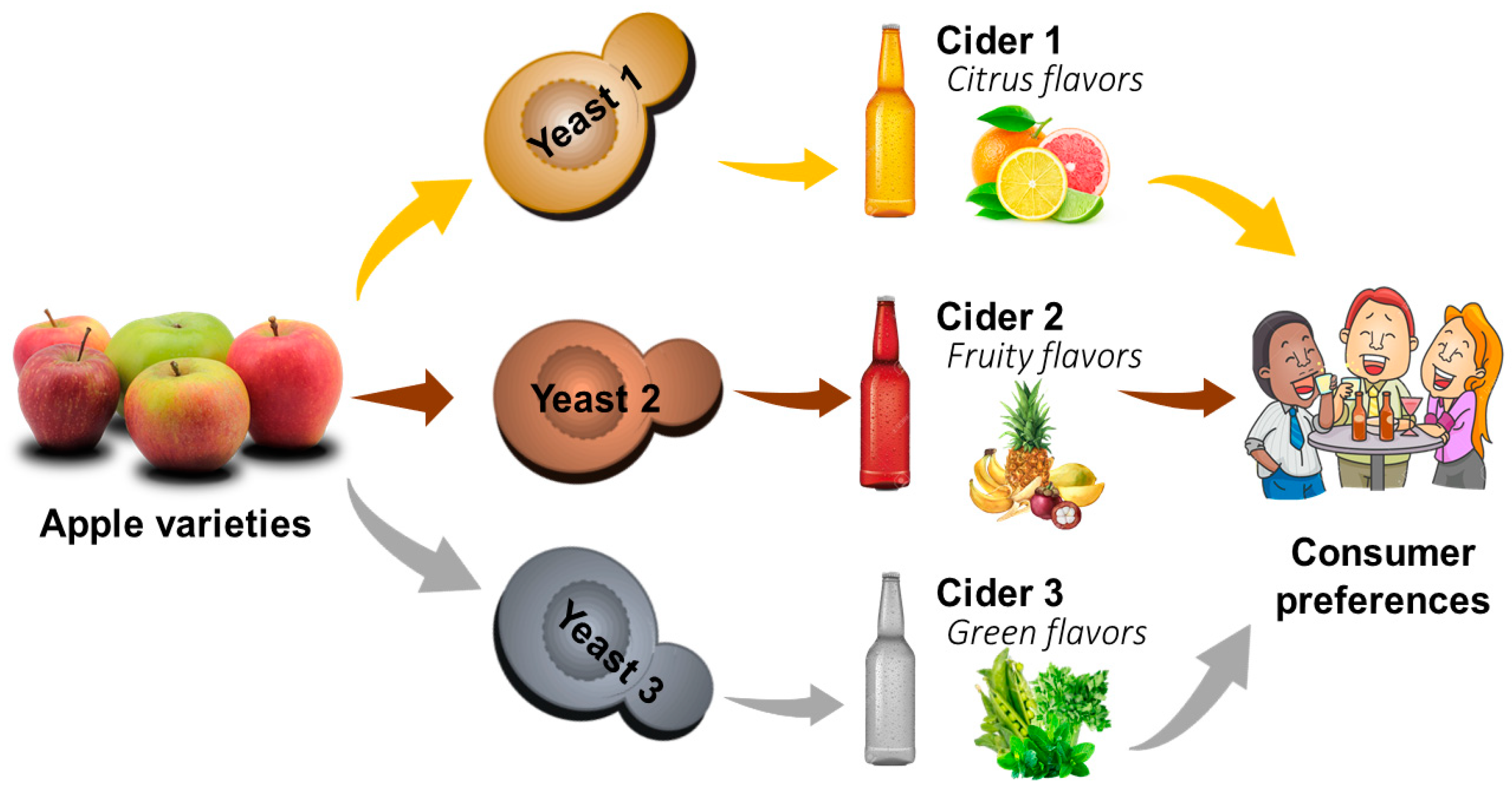 Molecules 25 03698 g002 Molecules 25 03698 g002