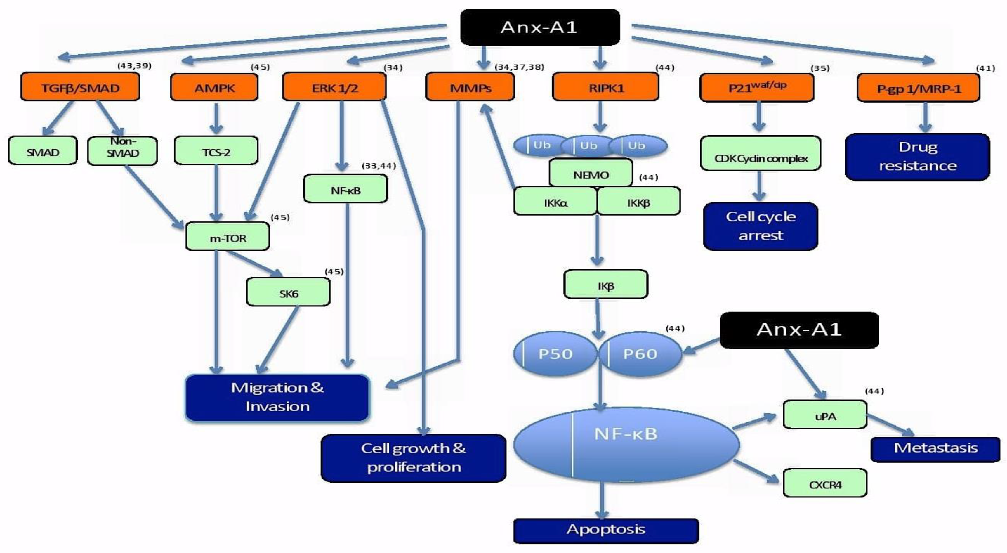Molecules 25 03700 g002 Molecules 25 03700 g002