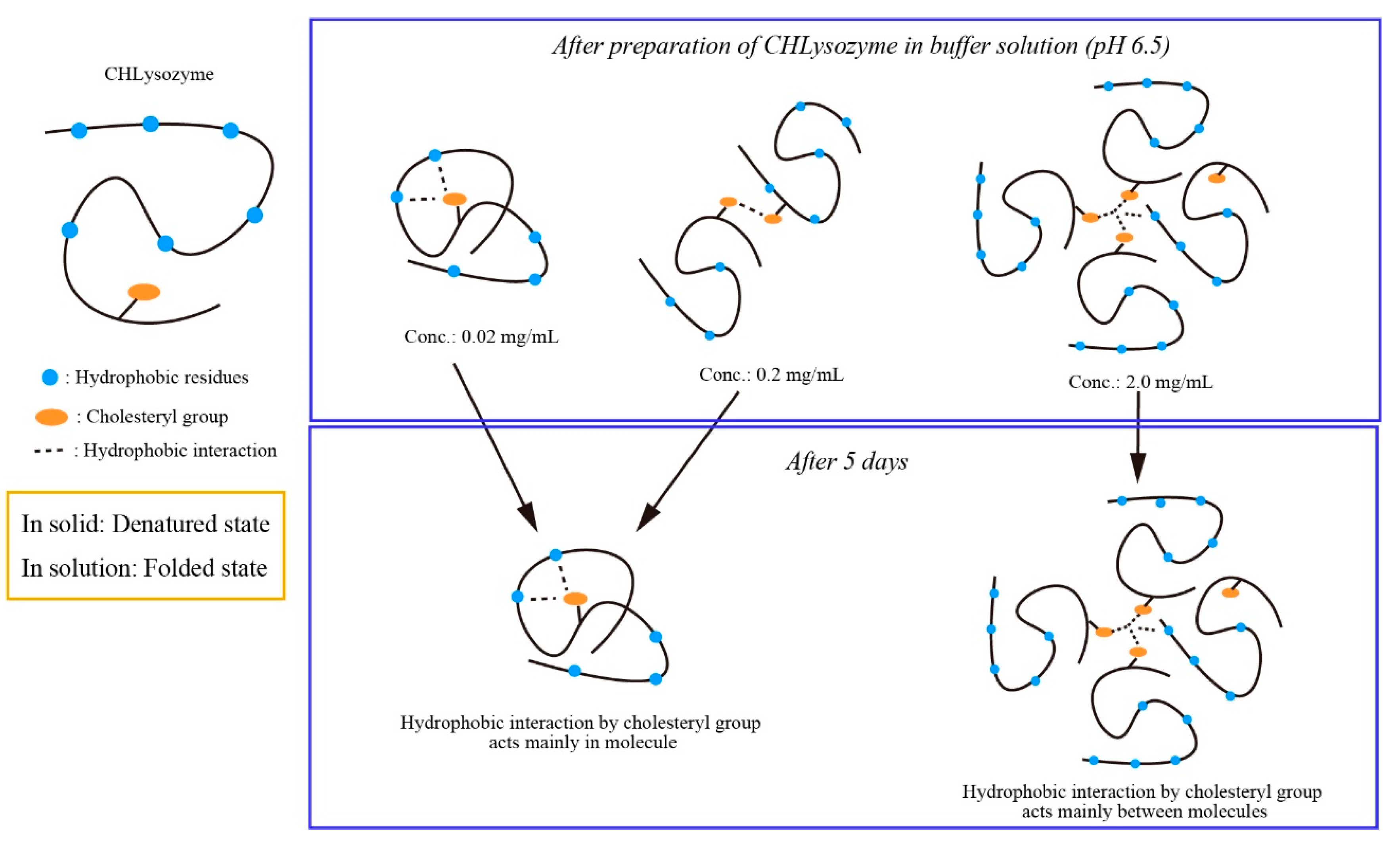 Molecules 25 03704 g007