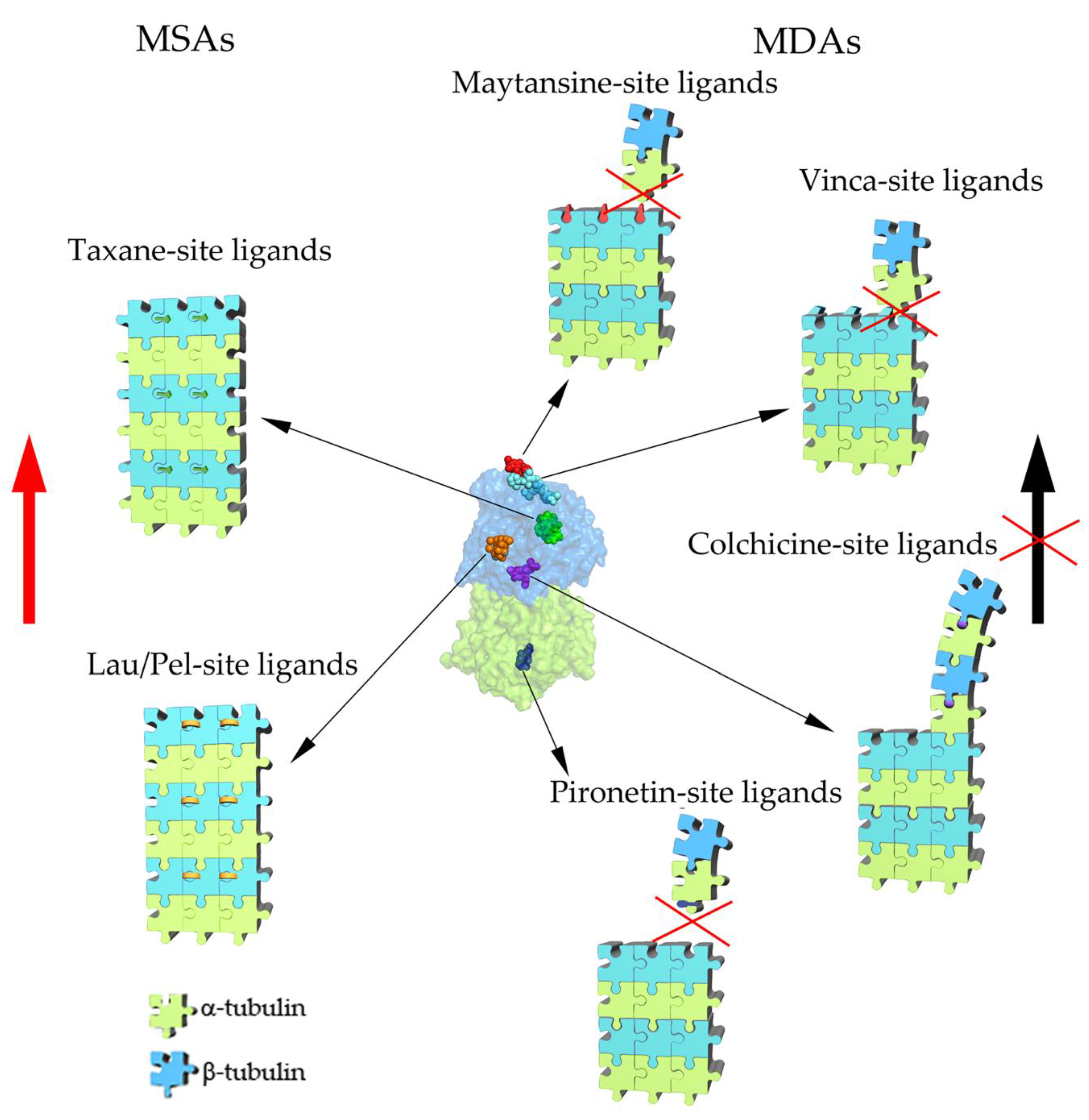 Molecules 25 03705 g002 Molecules 25 03705 g002