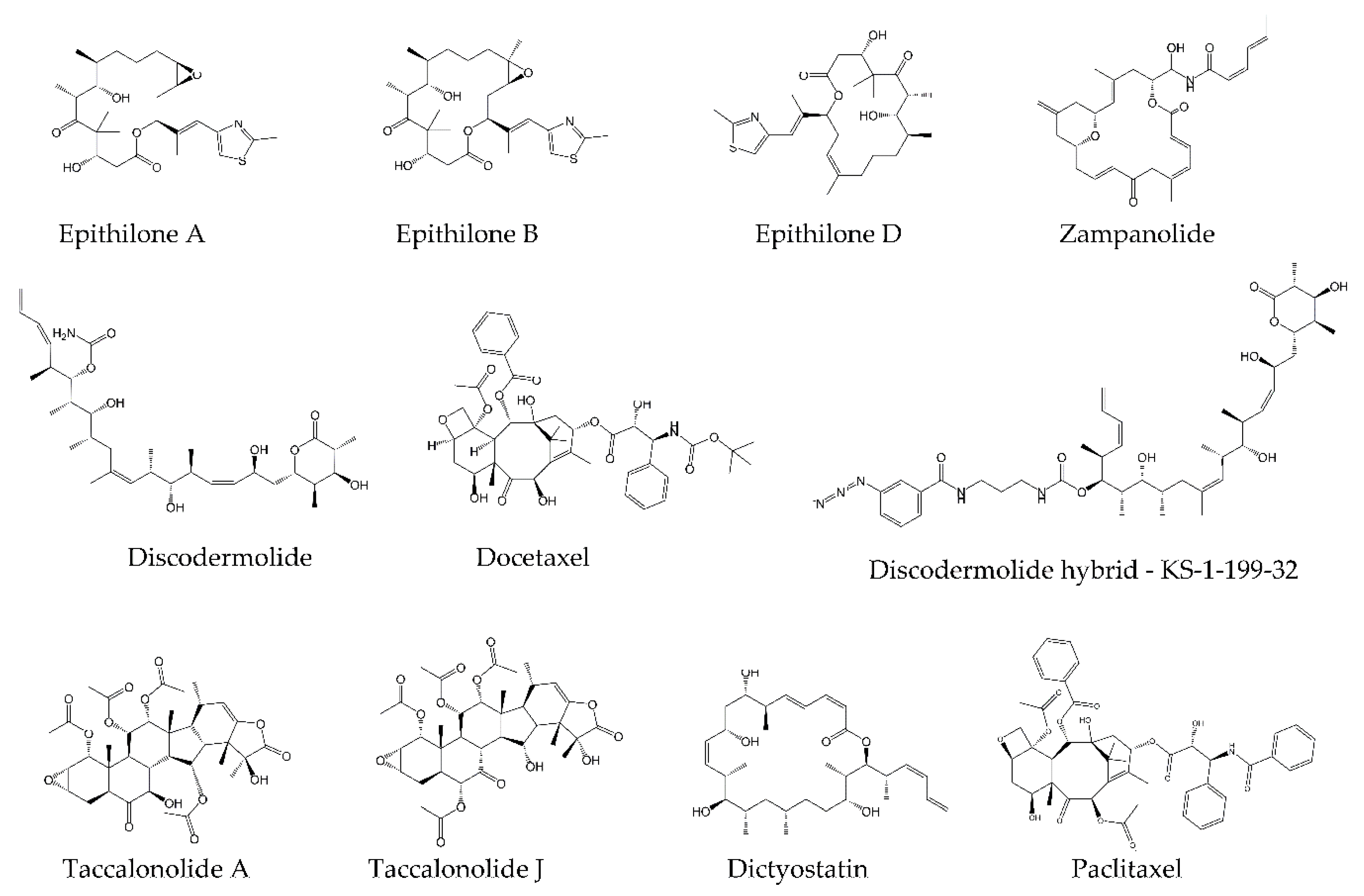 Molecules 25 03705 g003 Molecules 25 03705 g003
