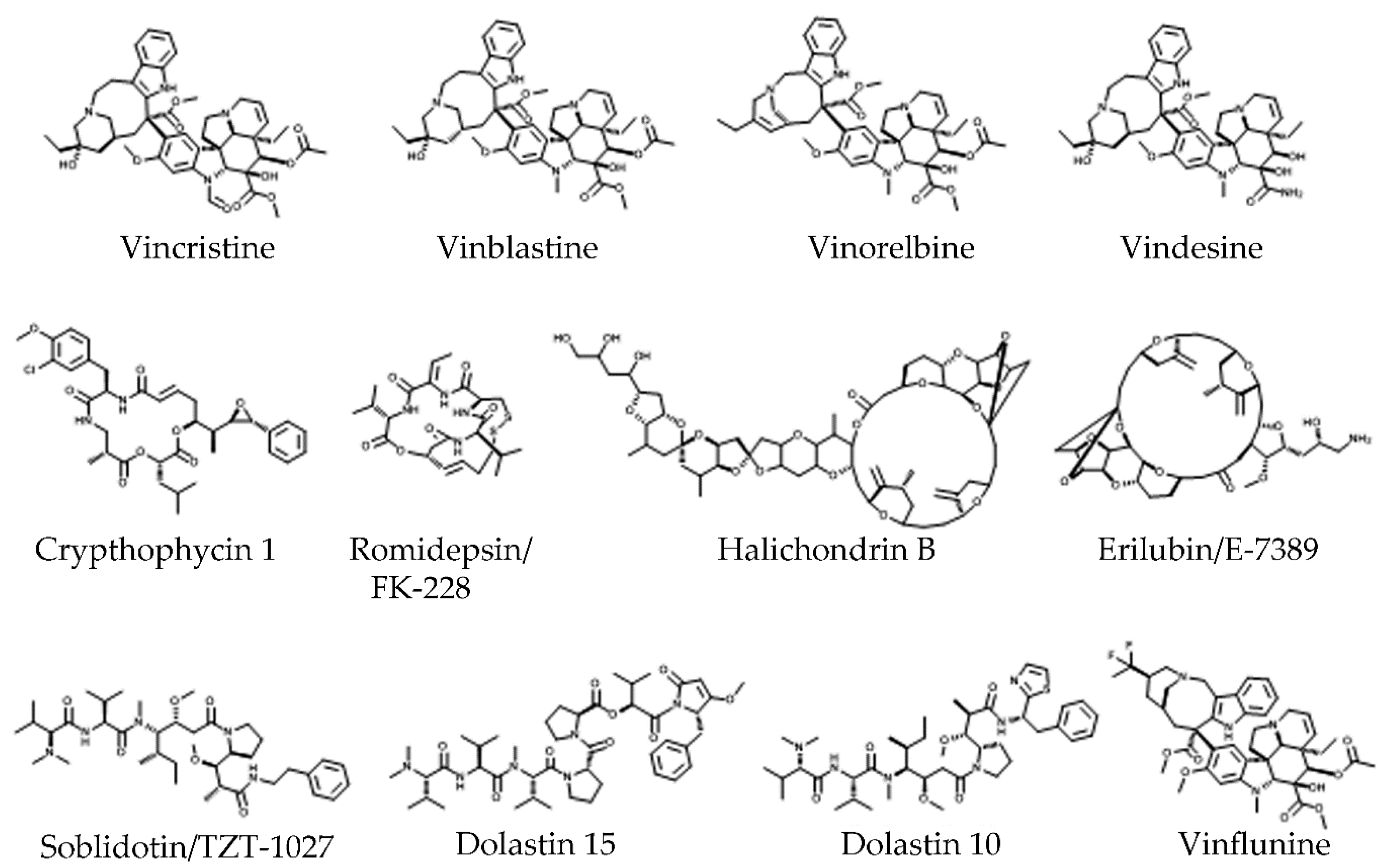 Molecules 25 03705 g005 Molecules 25 03705 g005