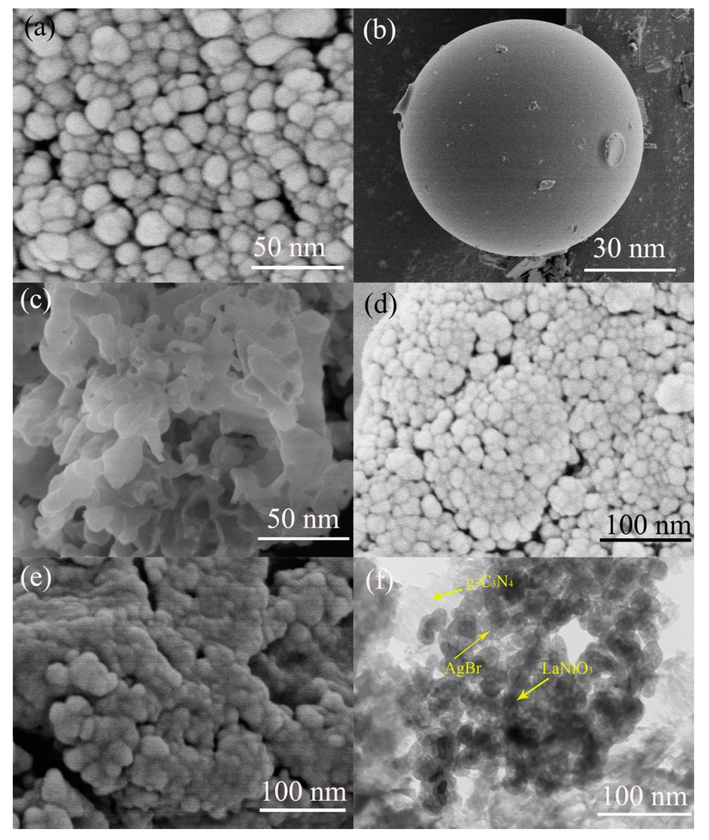 Molecules 25 03706 g004 Molecules 25 03706 g004