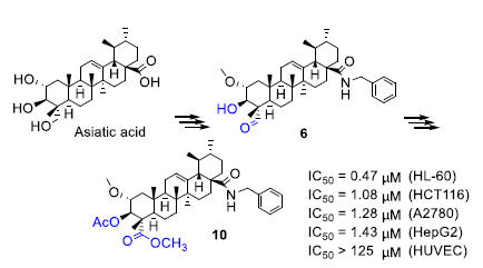Molecules Free Full Text Synthesis And Cytotoxic Activity Of Novel C 23 Modified Asiatic Acid Derivatives Html