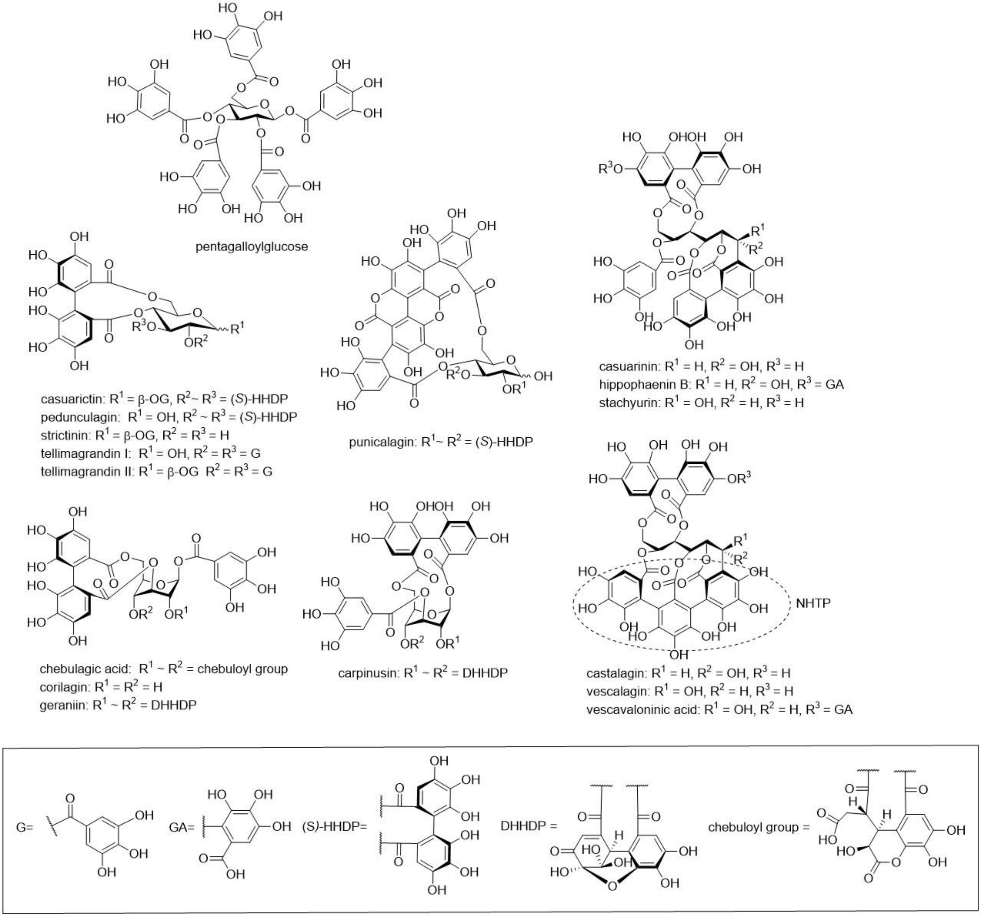 Molecules 25 03714 g001 Molecules 25 03714 g001