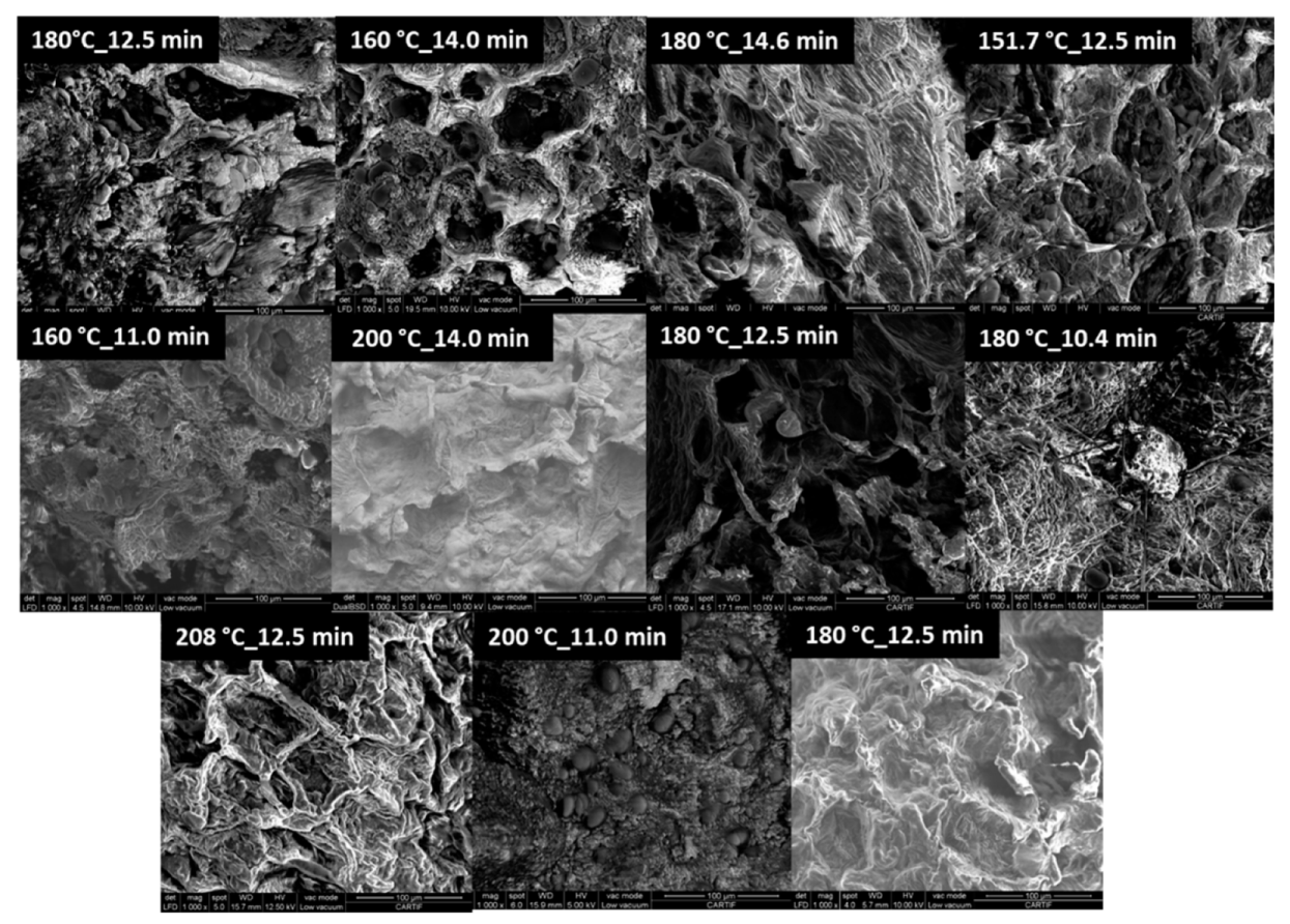 Molecules 25 03716 g007