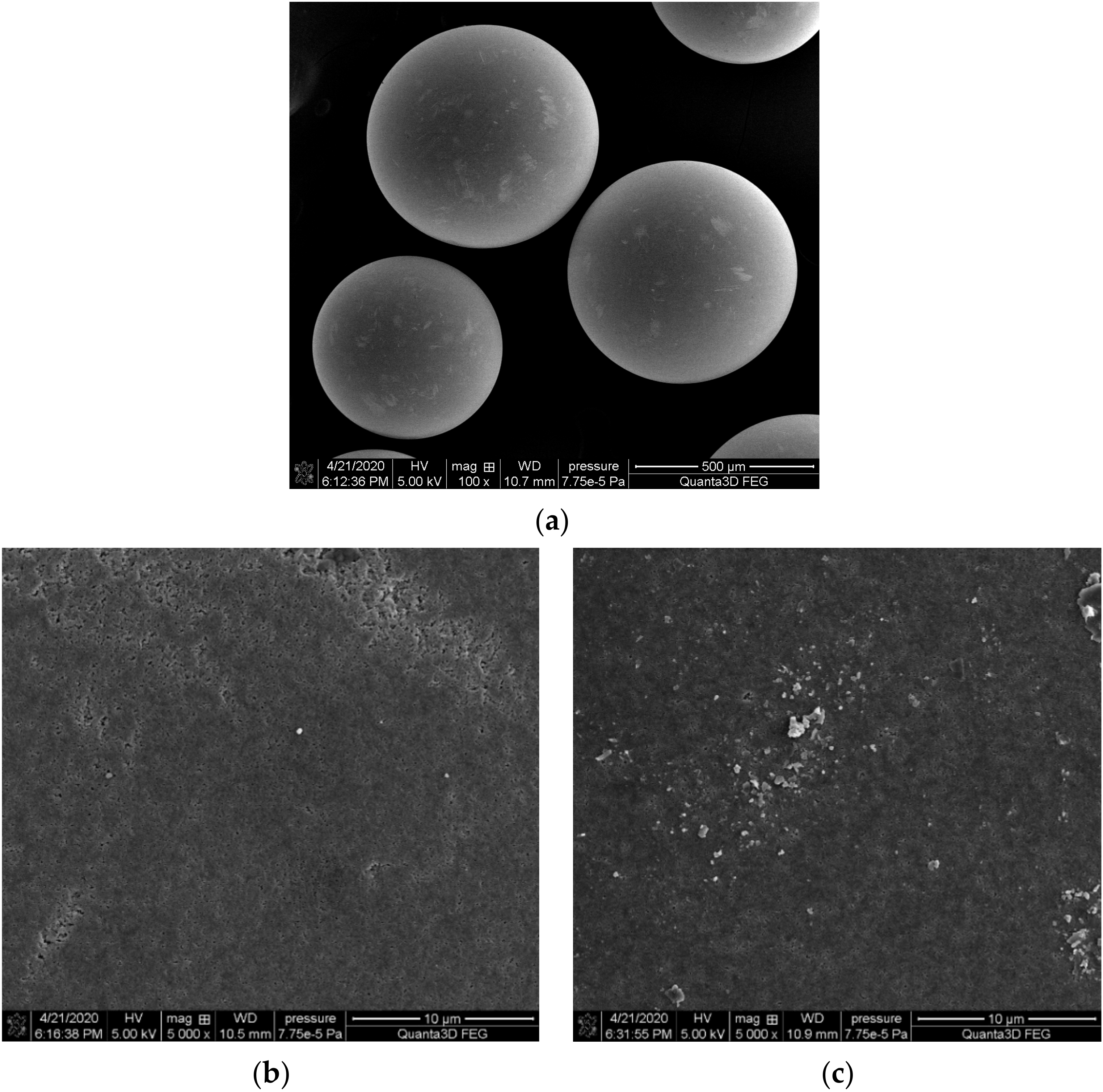 Molecules 25 03718 g003