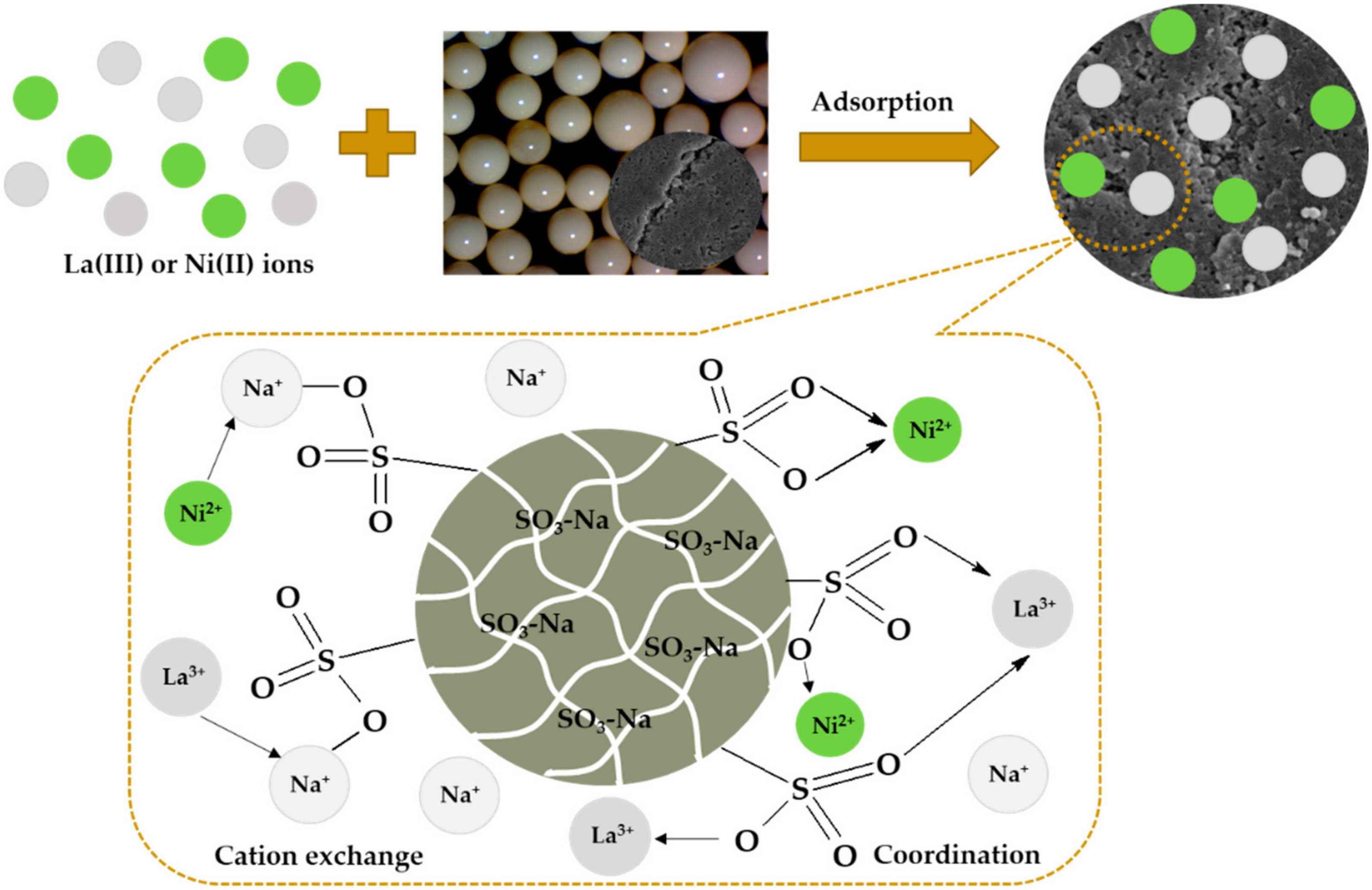 Molecules 25 03718 g011