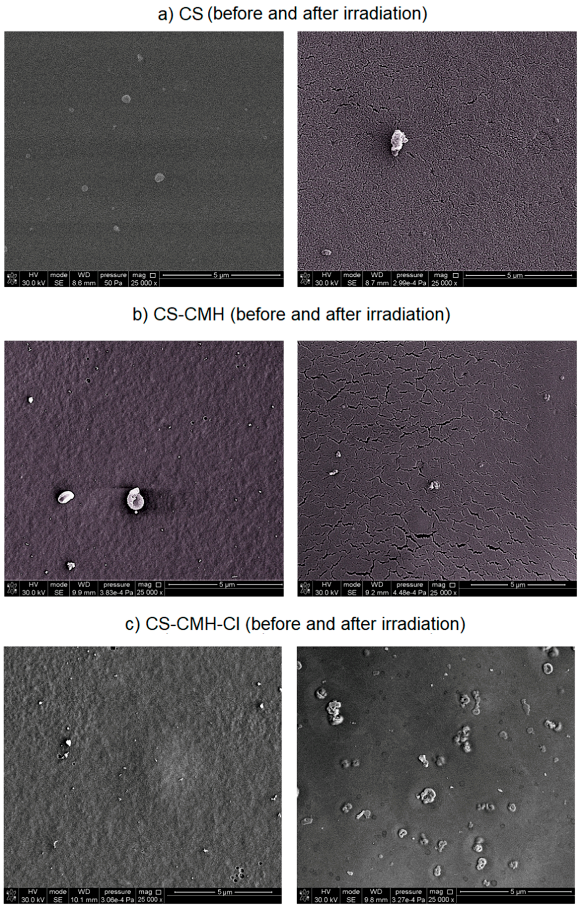 Molecules 25 03728 g007