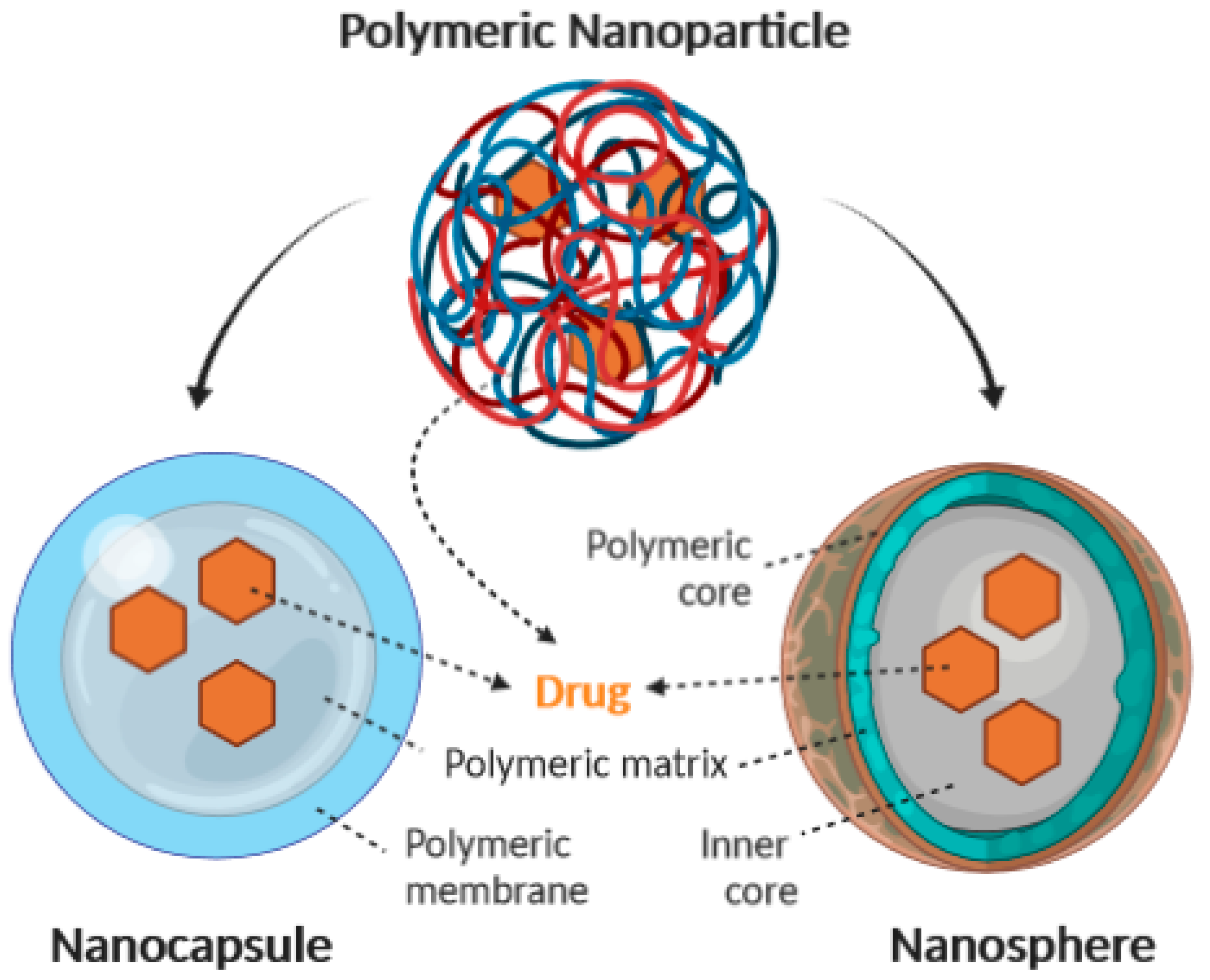 polymeric nanoparticles thesis
