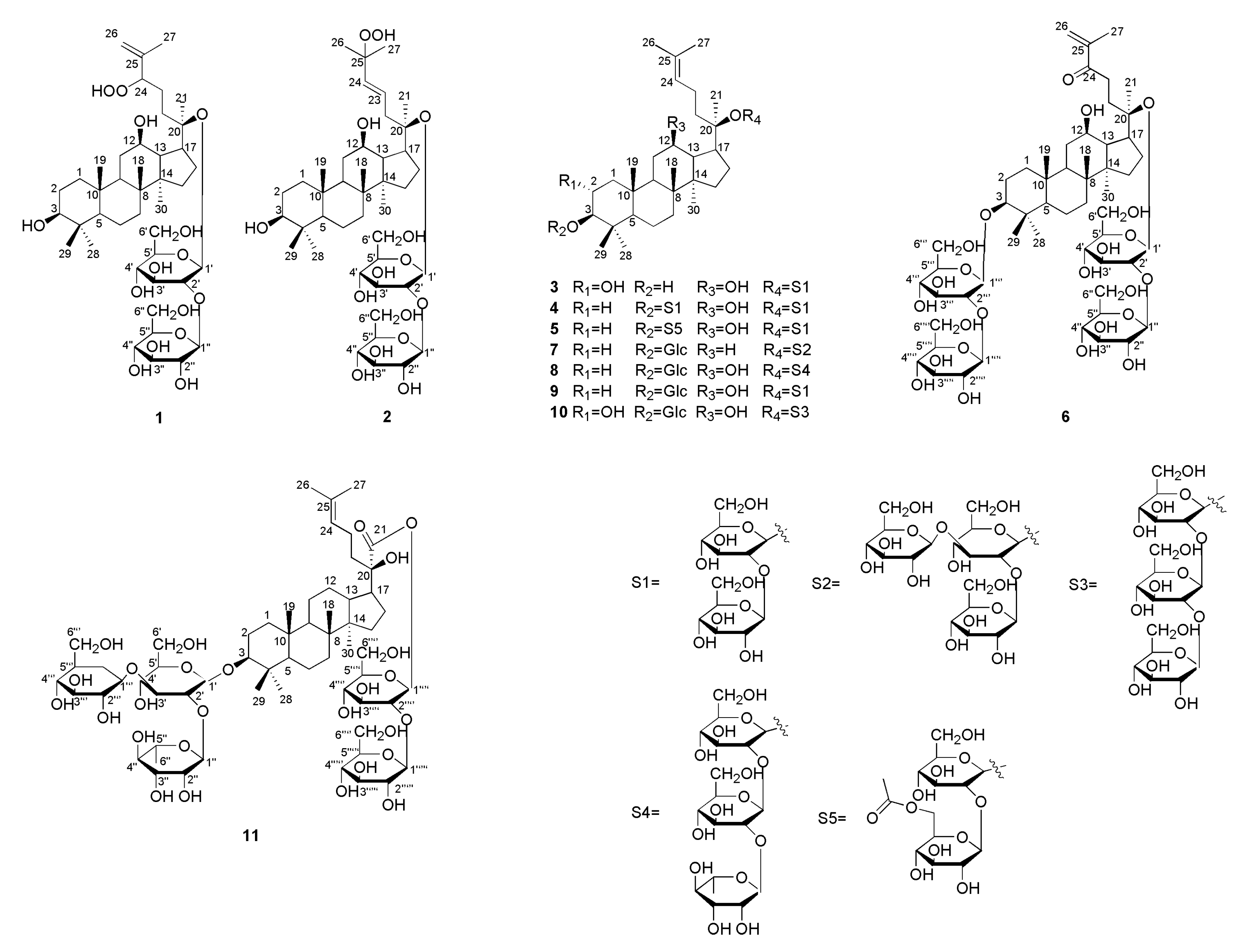 Molecules 25 03737 g001