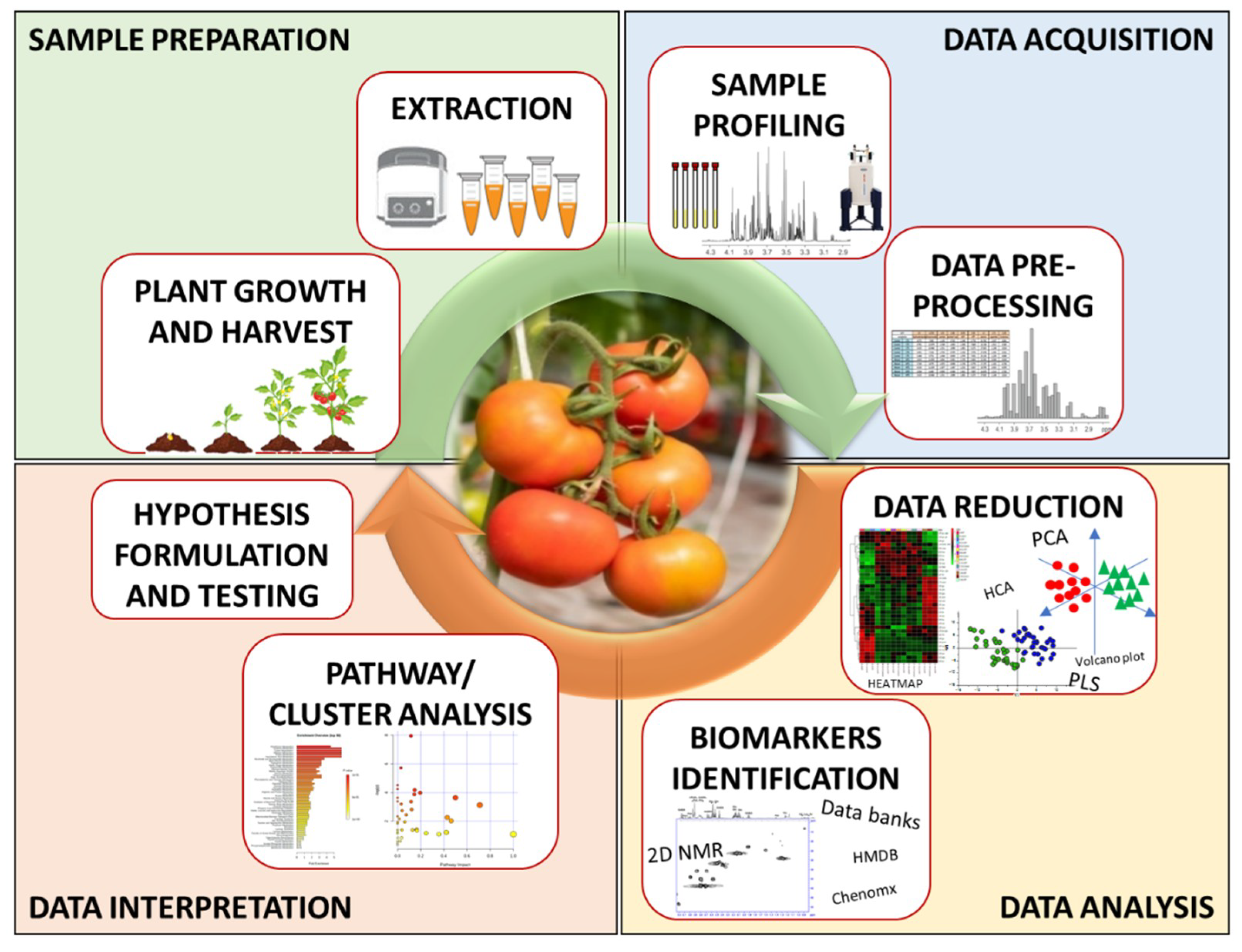 Molecules 25 03738 g002