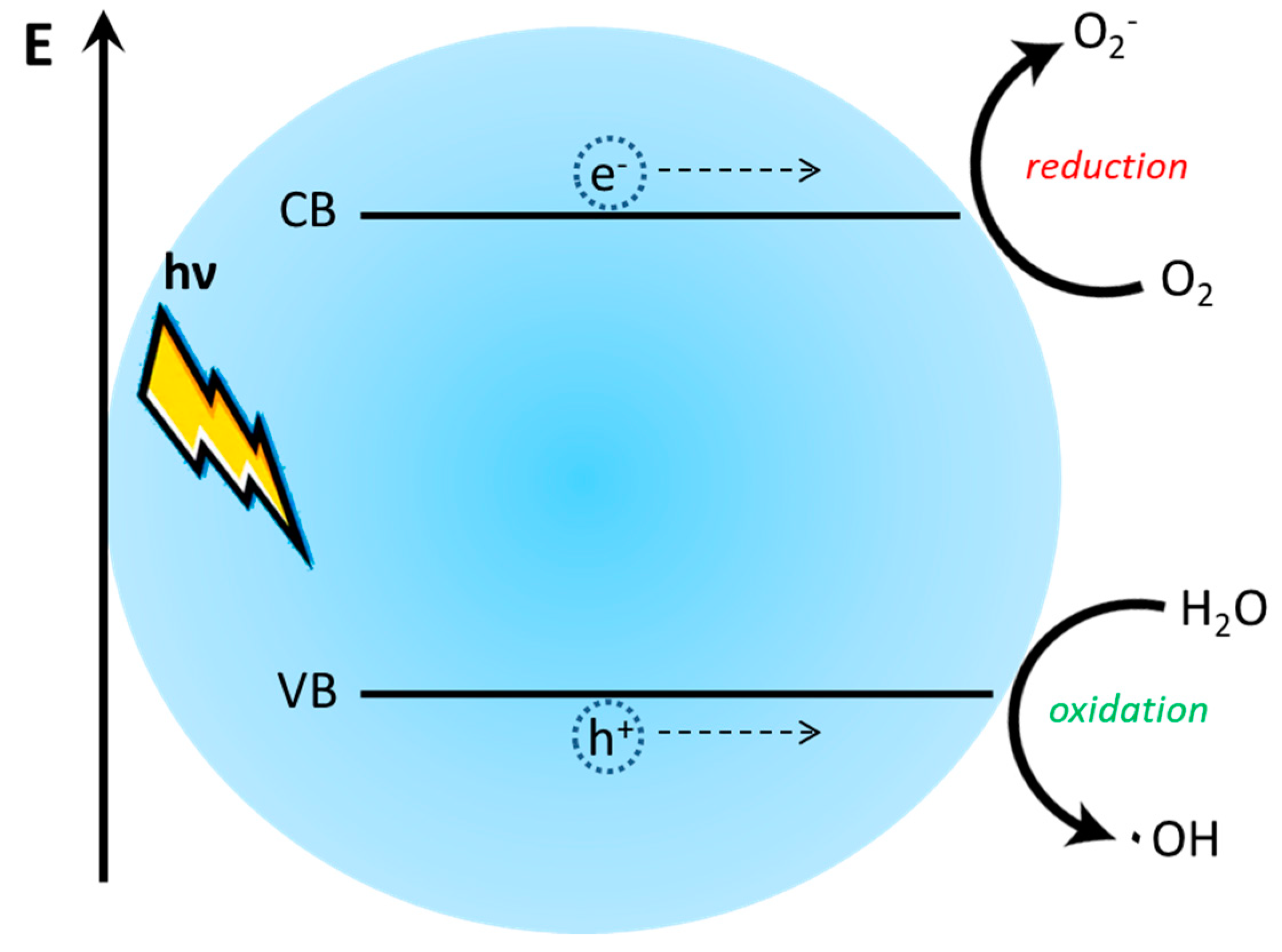 Molecules 25 03742 g022 Molecules 25 03742 g022