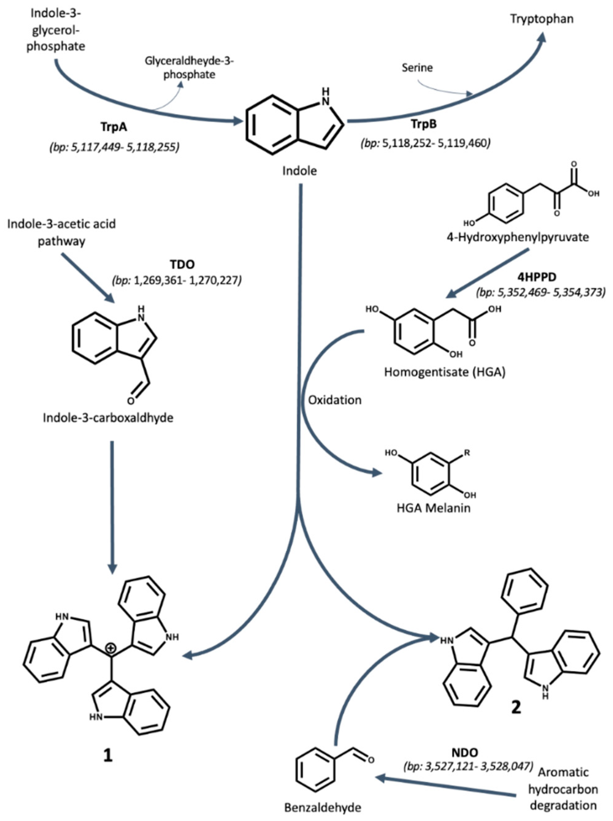 Molecules 25 03744 g002