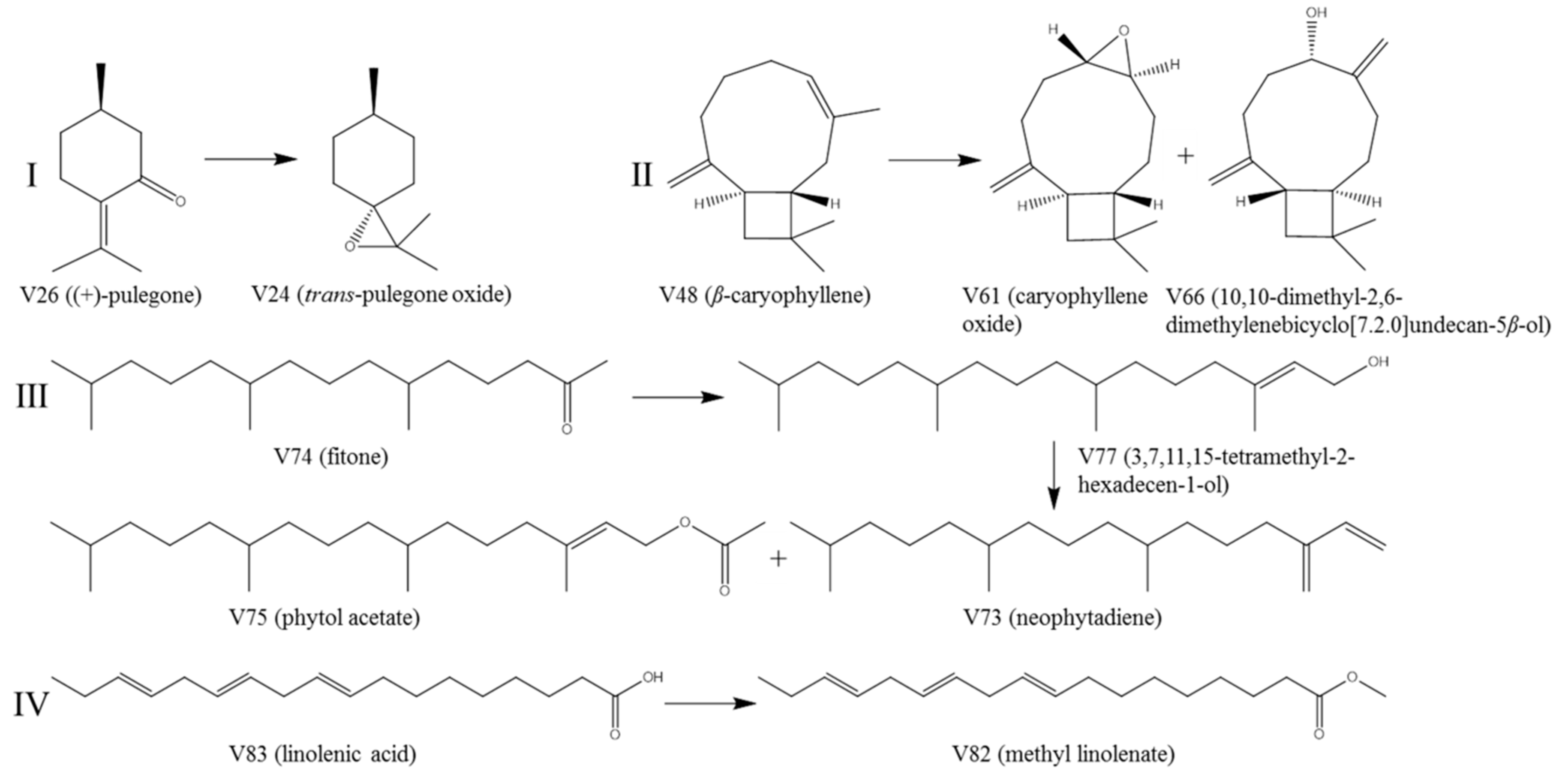 Molecules 25 03749 g004