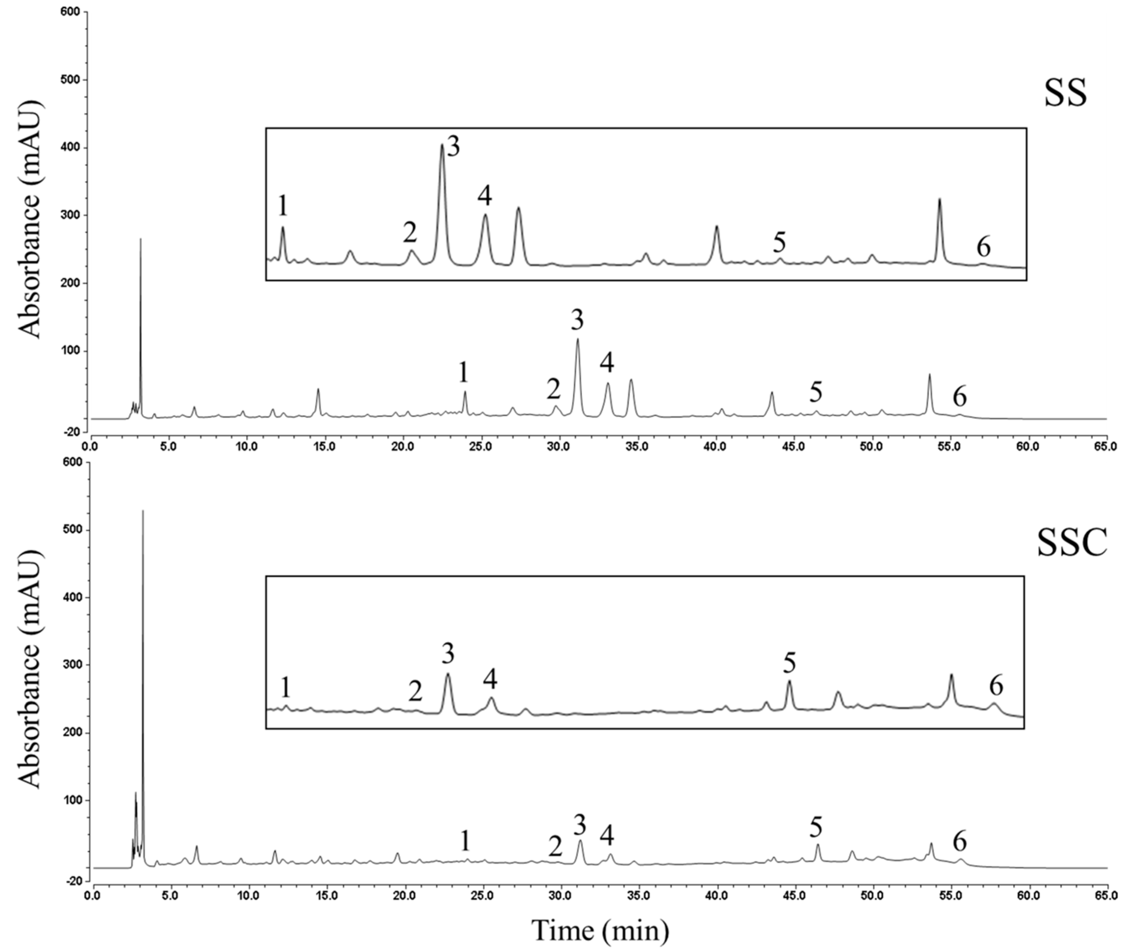 Molecules 25 03749 g005