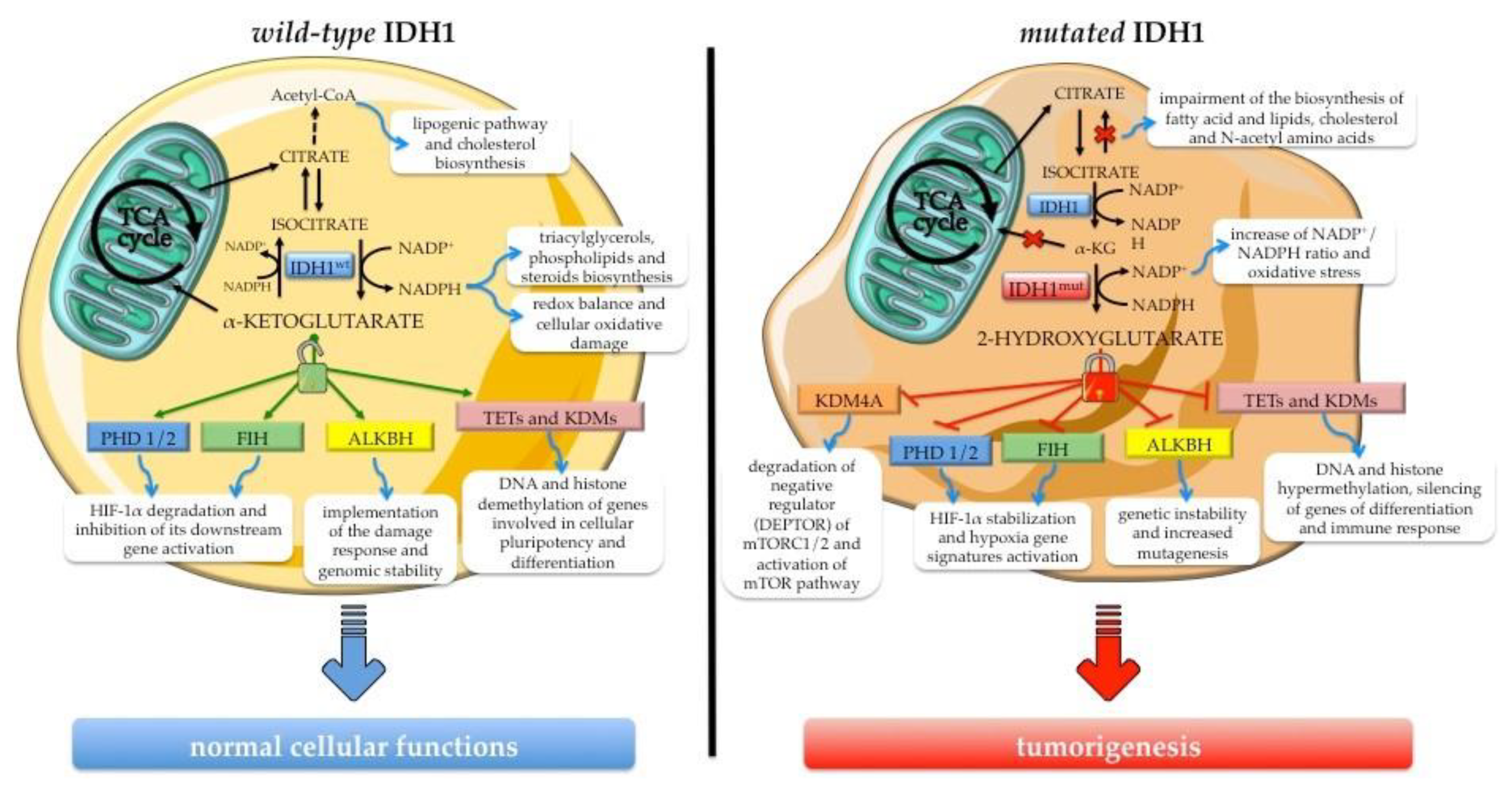 Molecules 25 03754 g002