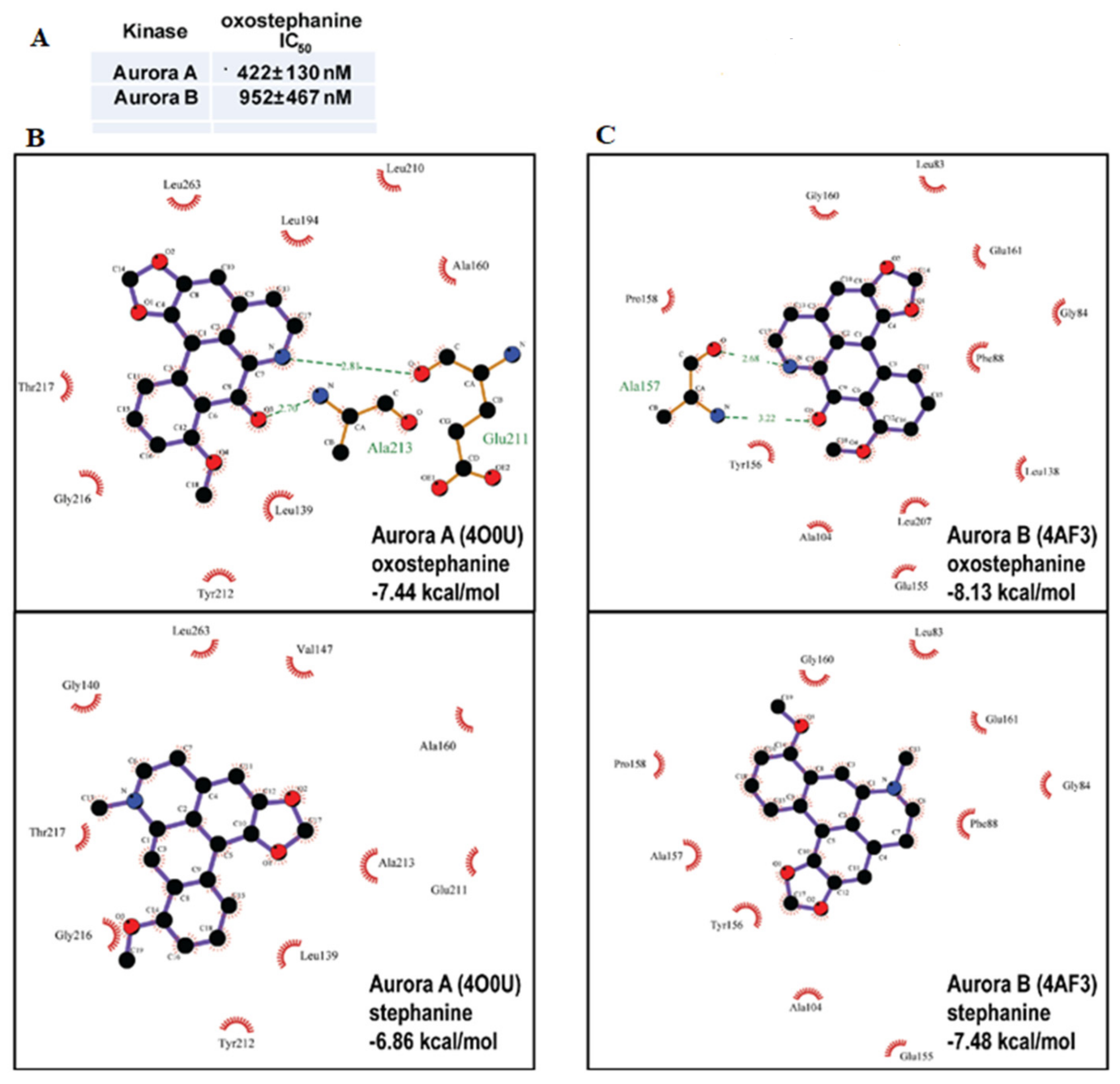Molecules 25 03755 g005 Molecules 25 03755 g005