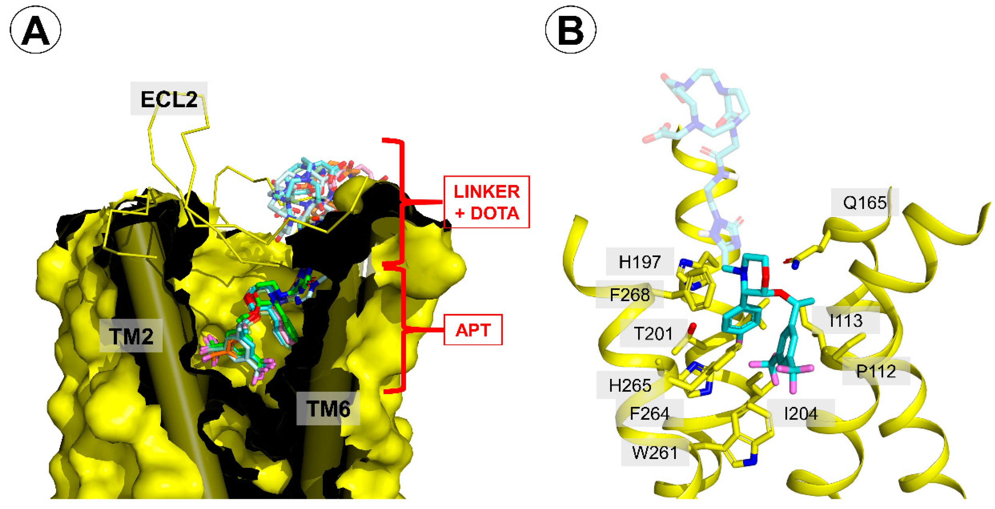 Molecules 25 03756 g005