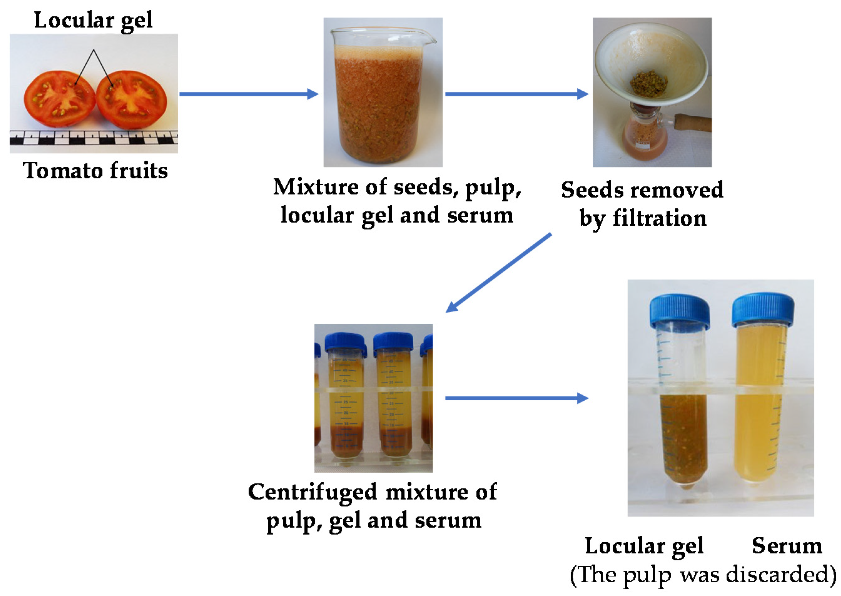 Molecules 25 03758 g006 Molecules 25 03758 g006