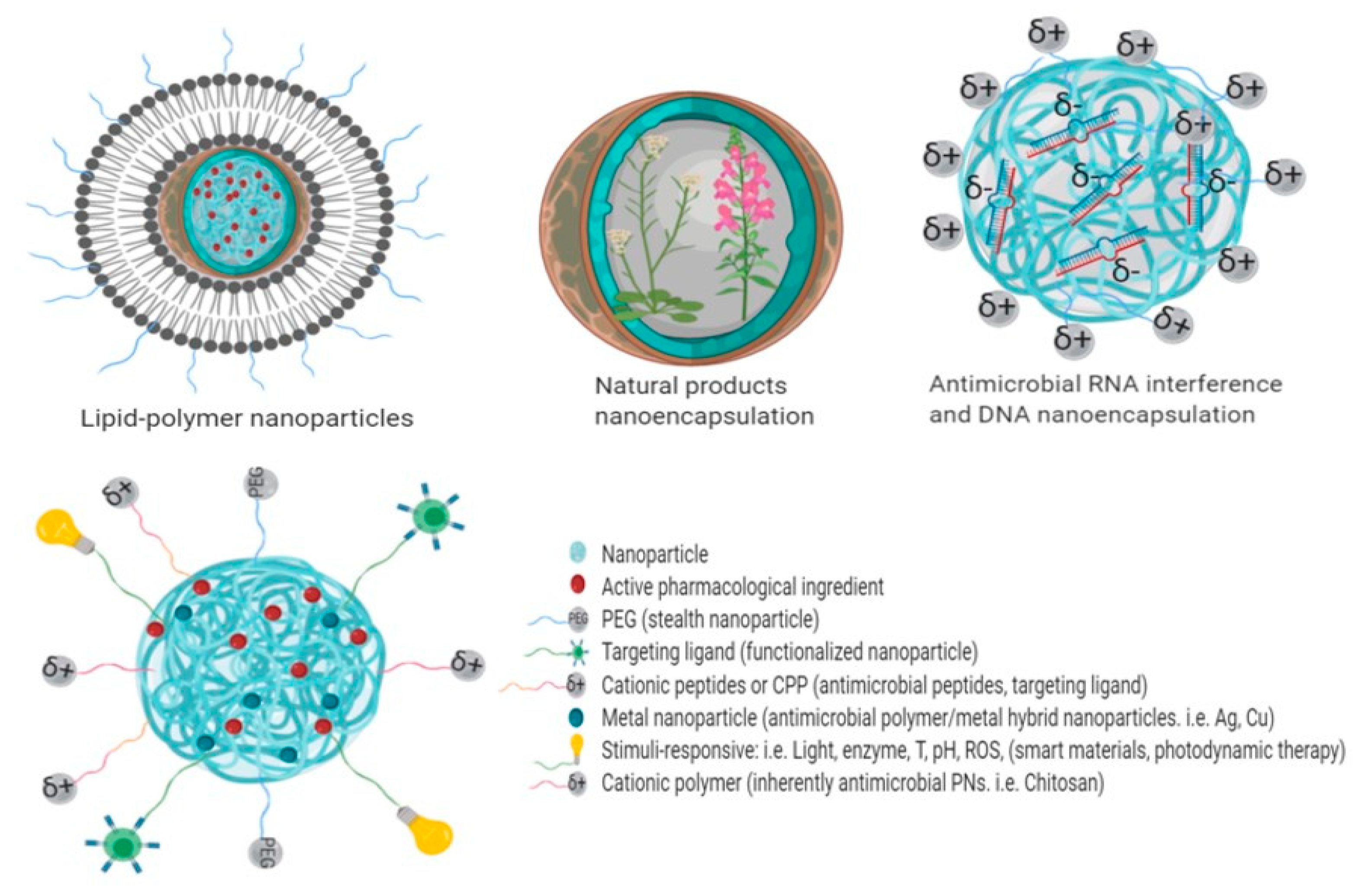 Molecules 25 03760 g005