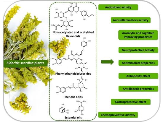 Molecules Free FullText Polyphenols and Other