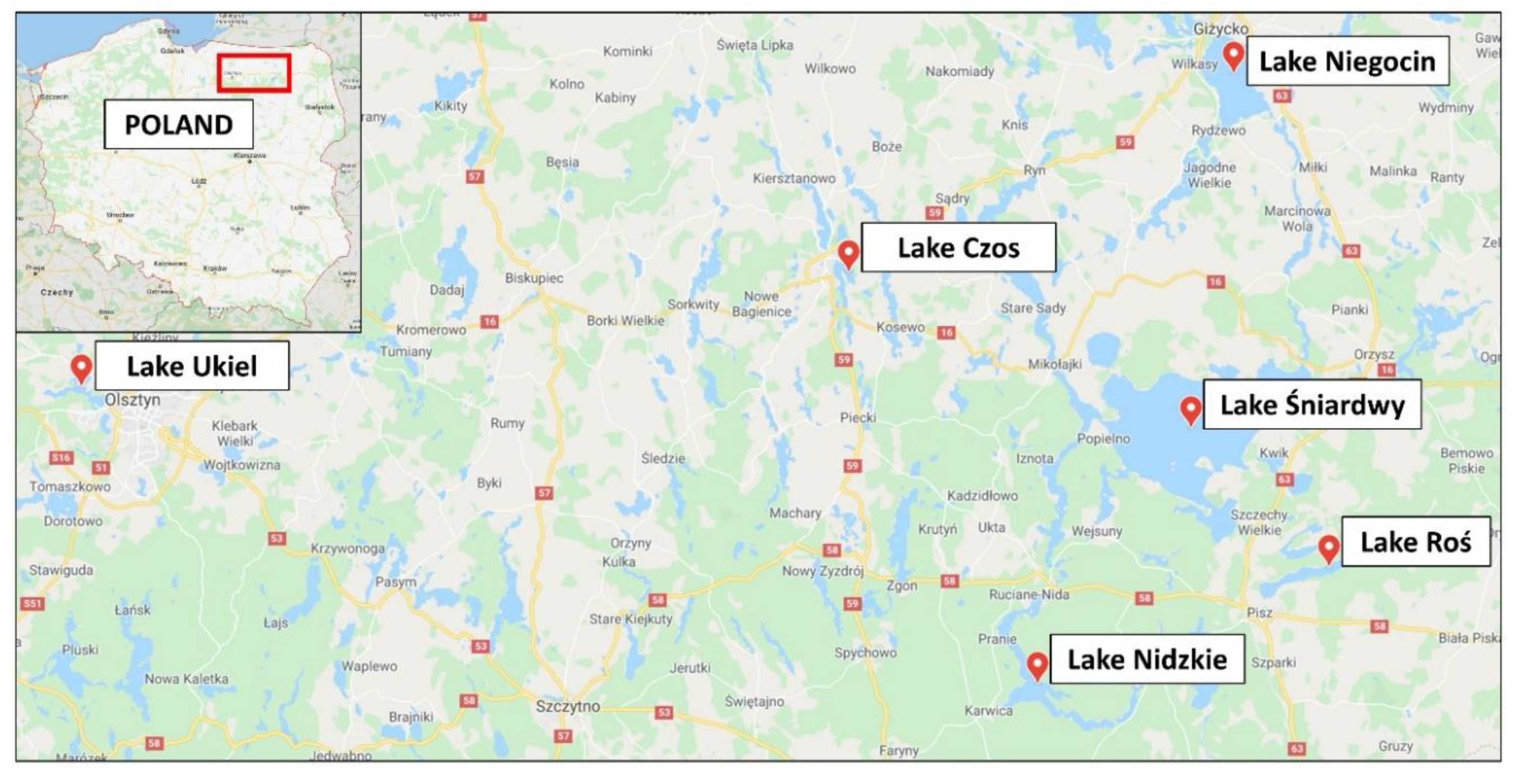 Molecules 25 03771 g008 Molecules 25 03771 g008