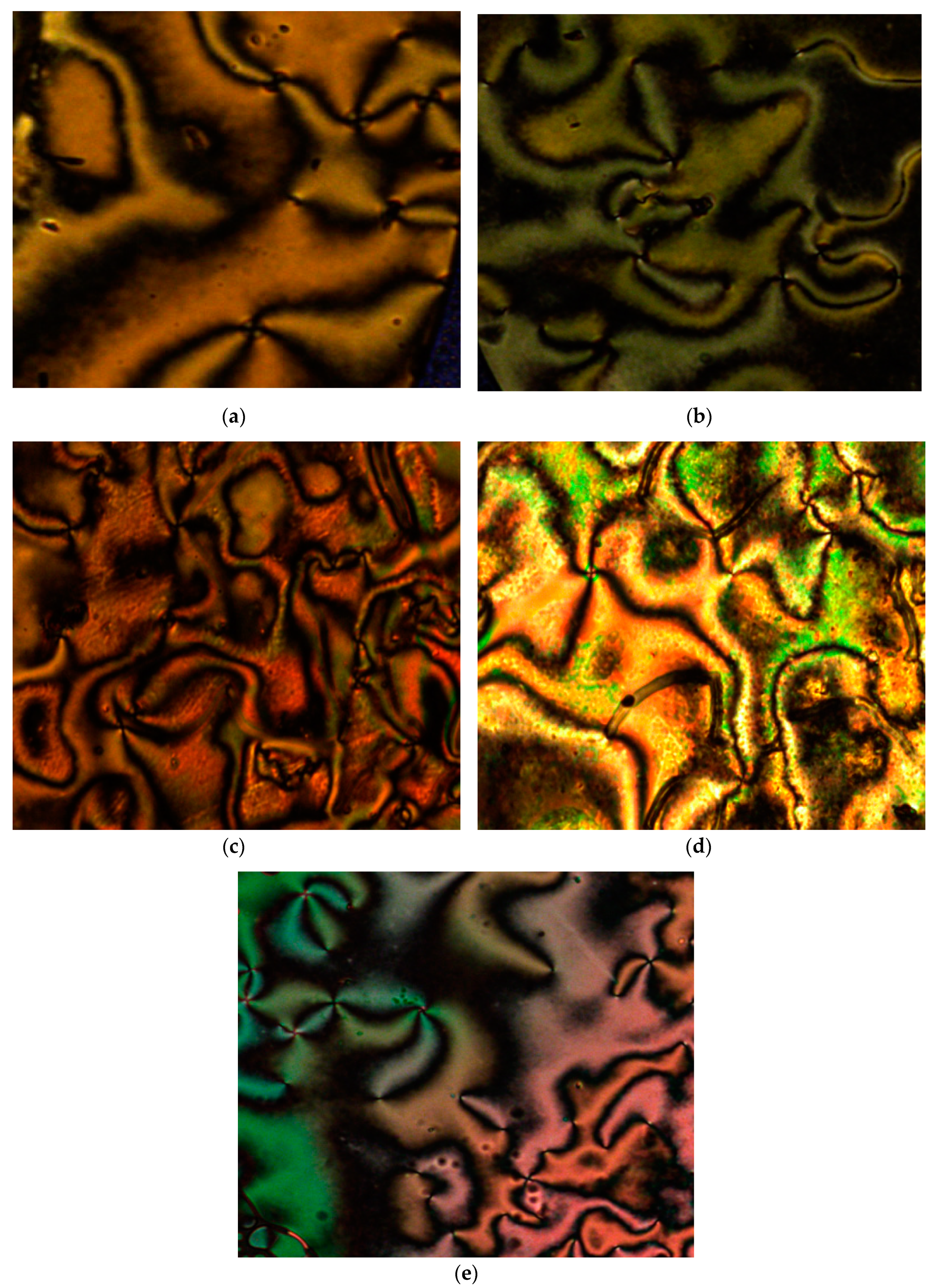 Molecules 25 03780 g011 Molecules 25 03780 g011