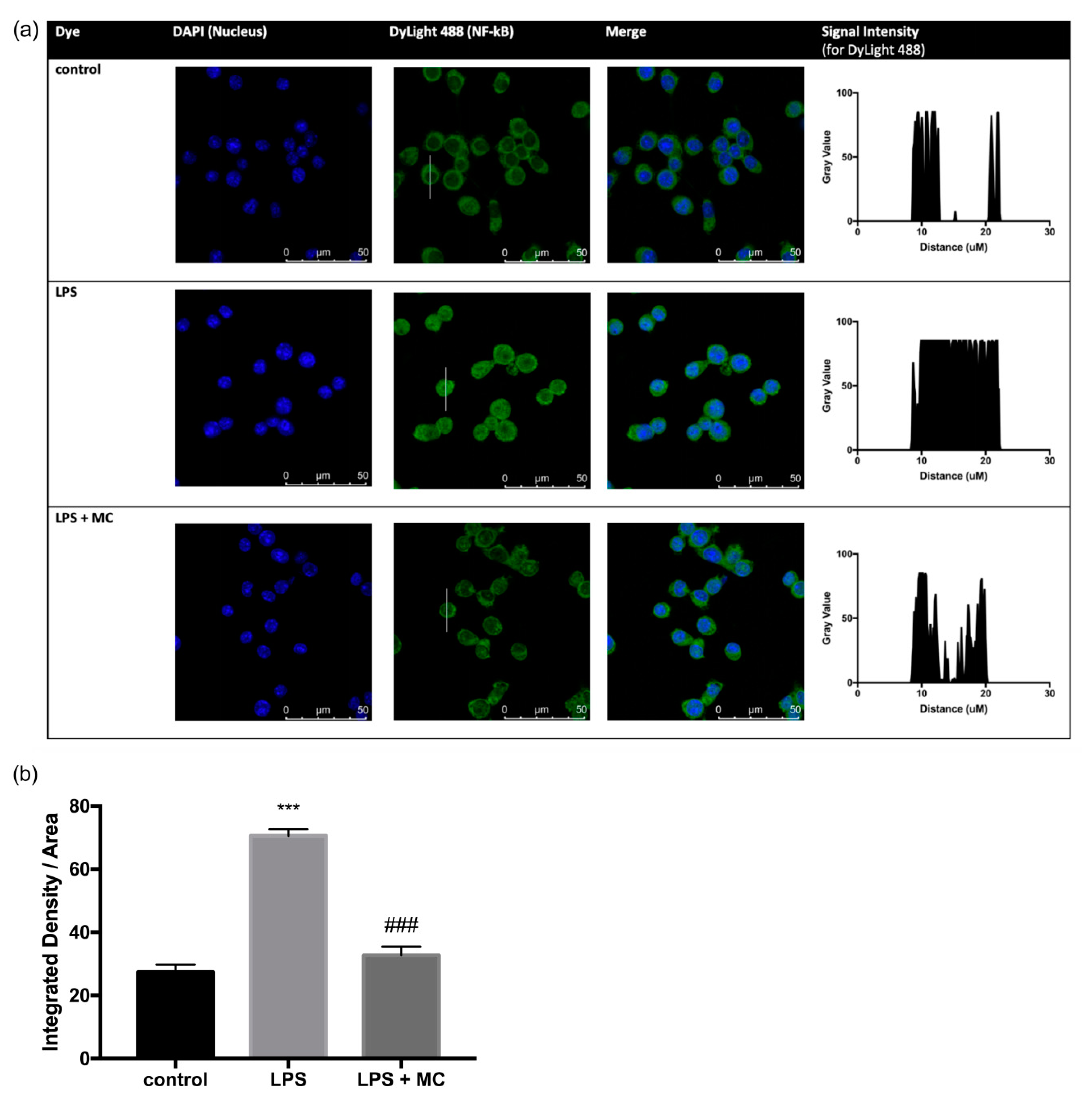 Molecules 25 03783 g002 Molecules 25 03783 g002