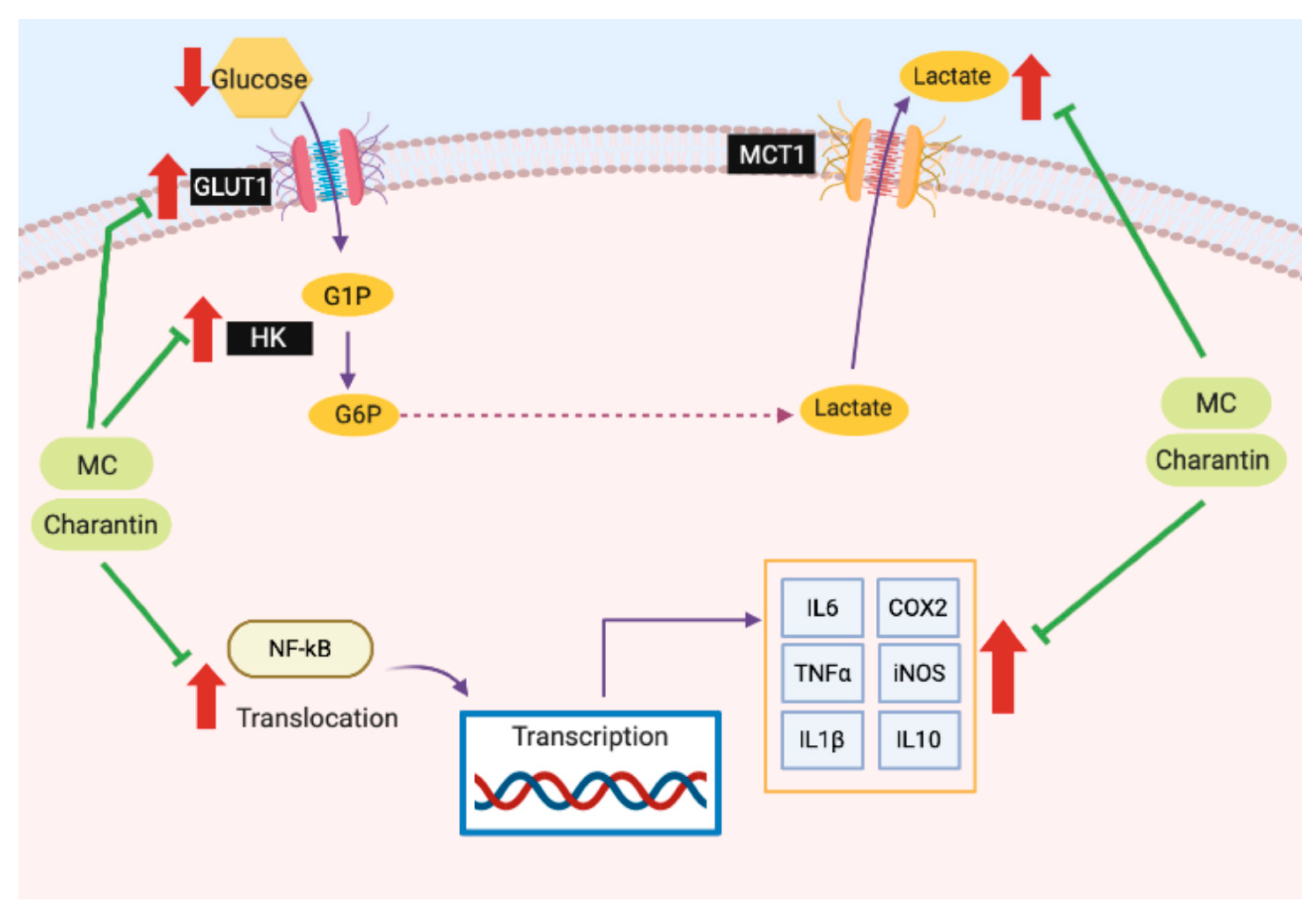 Molecules 25 03783 g007 Molecules 25 03783 g007