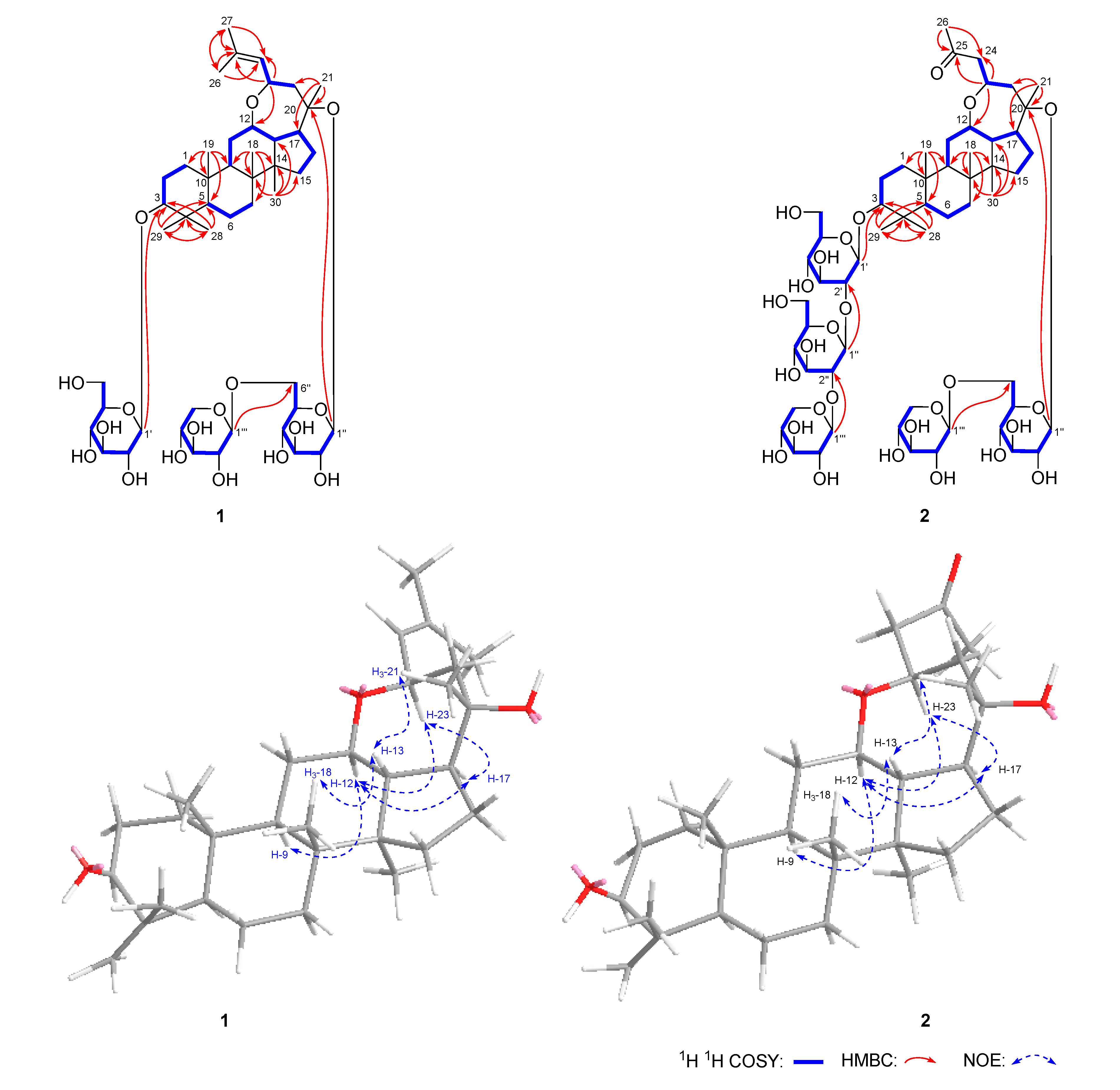 Molecules 25 03784 g002